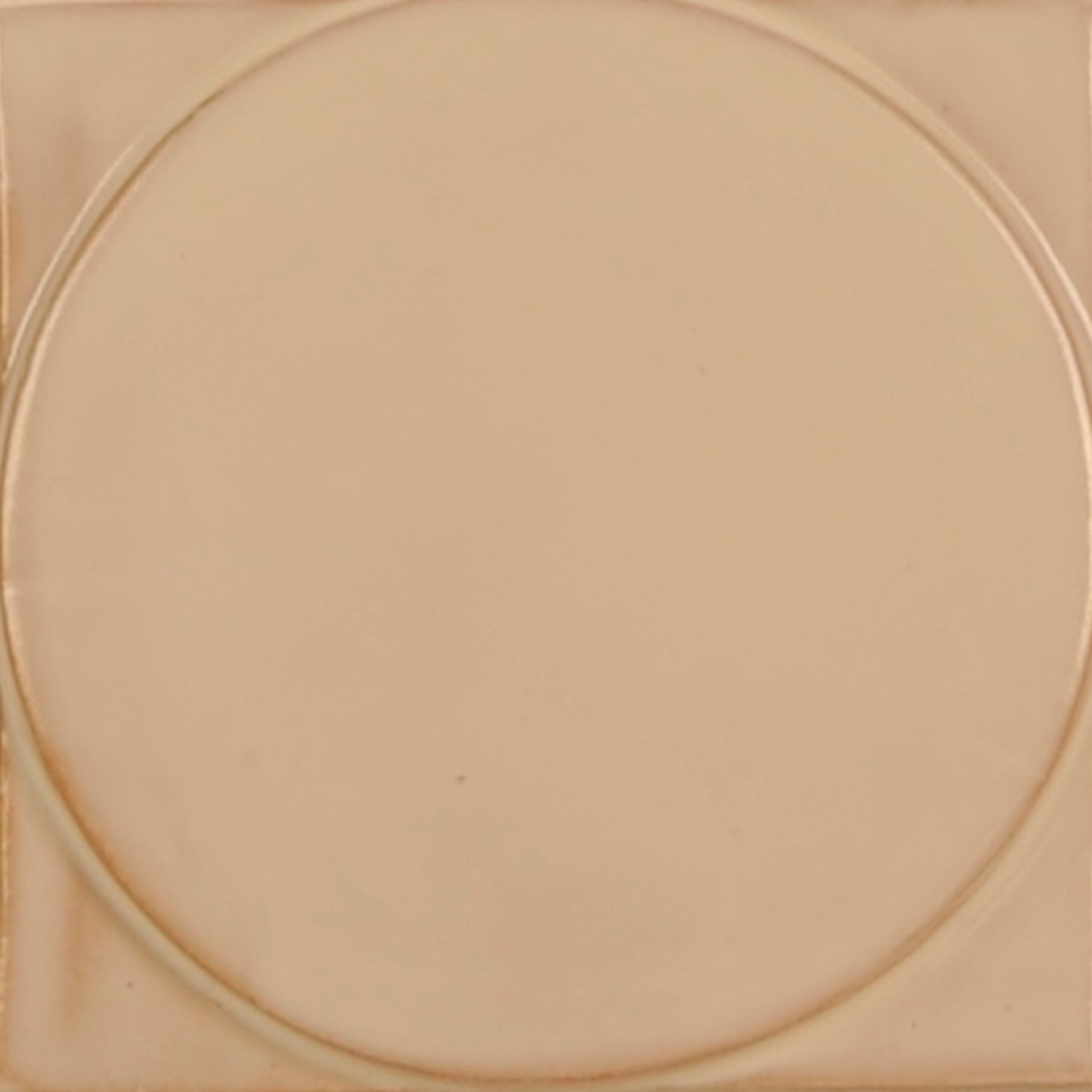 LR CO Symbiosis modulo 1 SM2