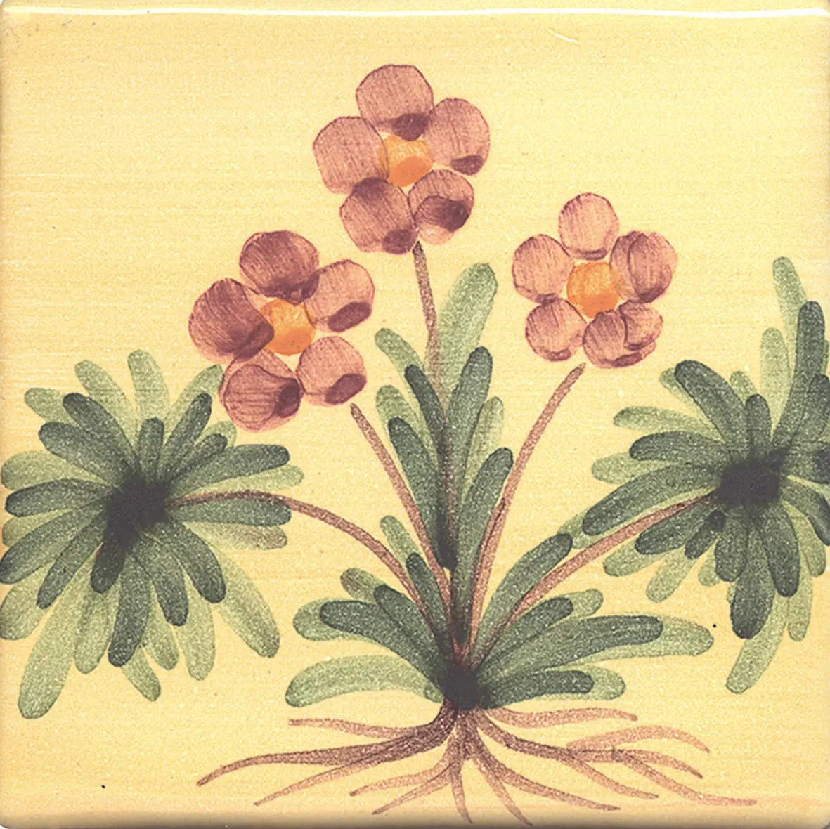 La Riggiola - LR PO SN1