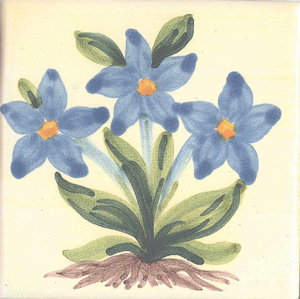 La Riggiola - LR PO SN2