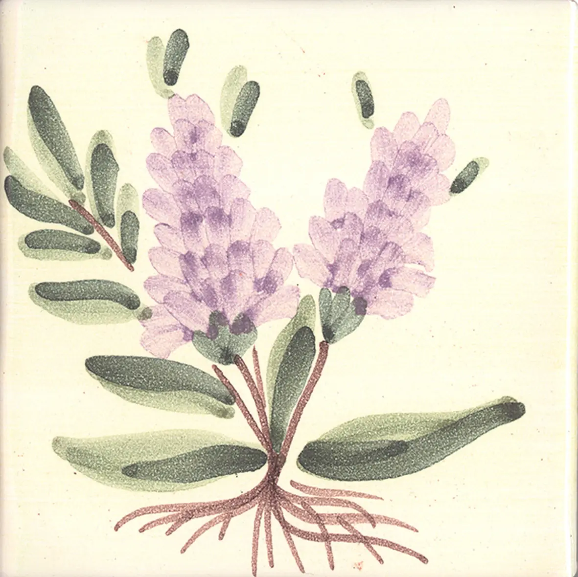 La Riggiola - LR PO SN5