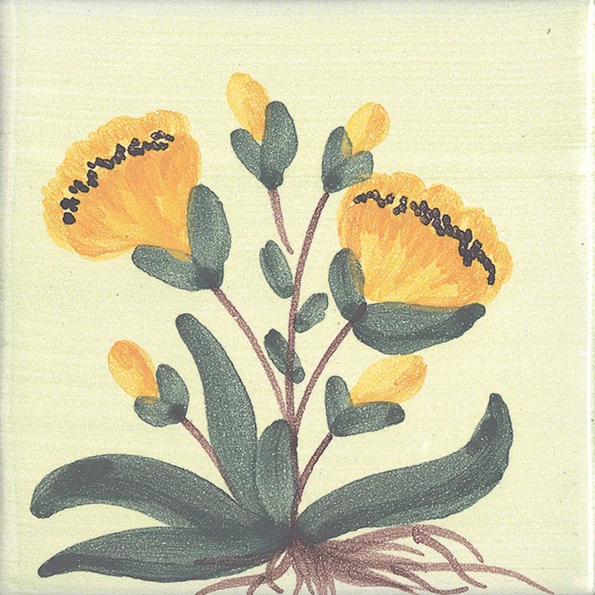 La Riggiola - LR PO SN6