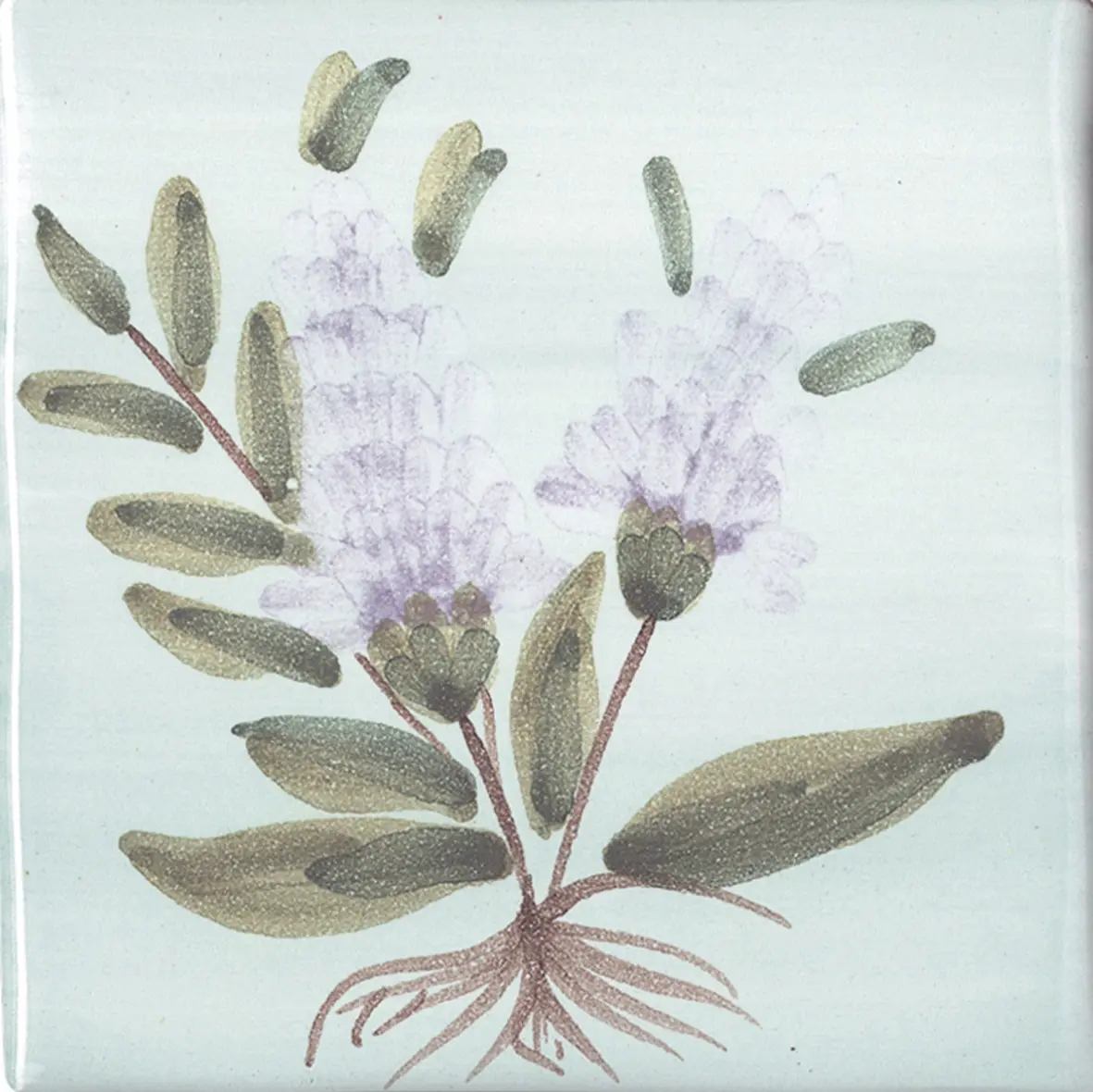 La Riggiola - LR PO SN8