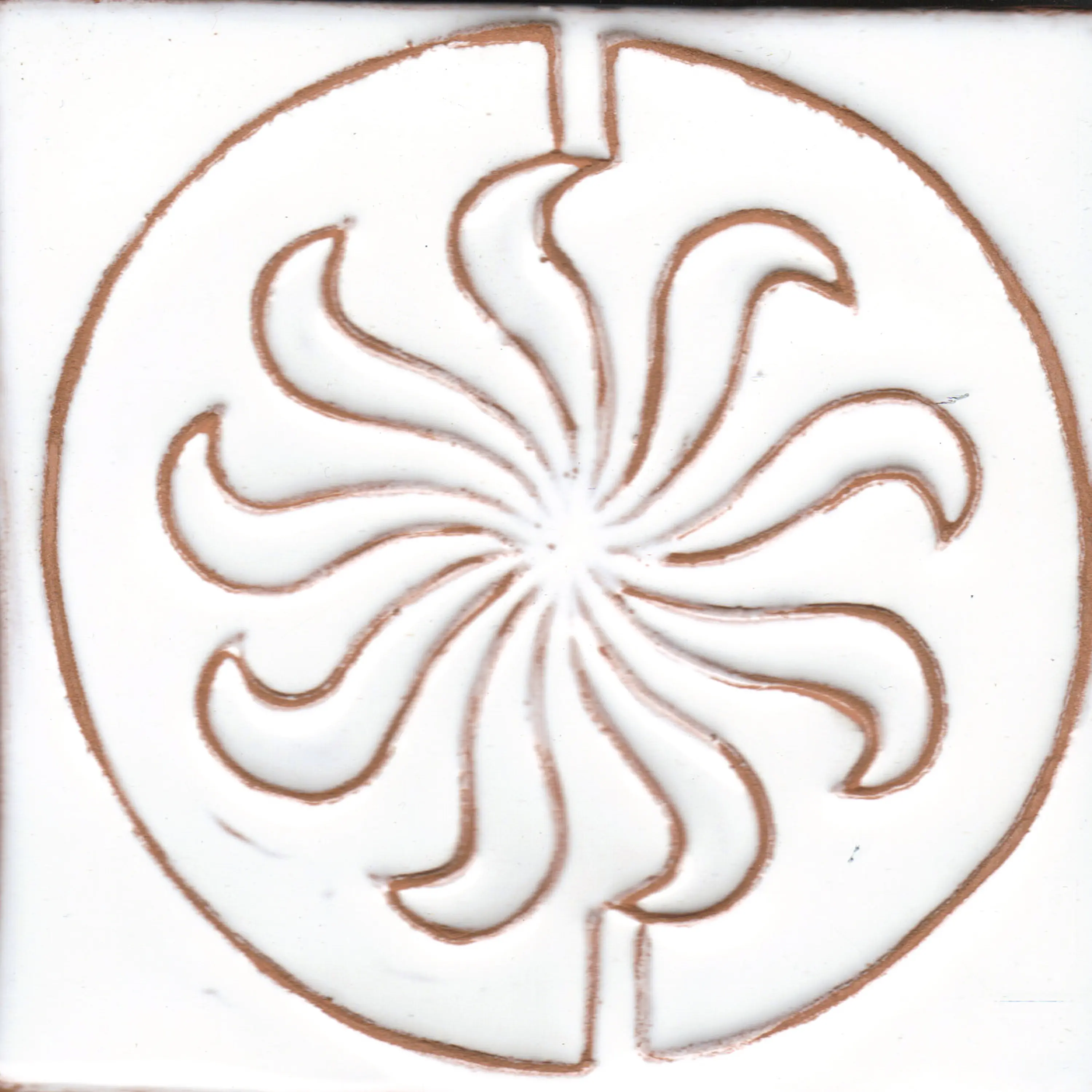 La Riggiola - LR CO Cosmos 3 SL 1