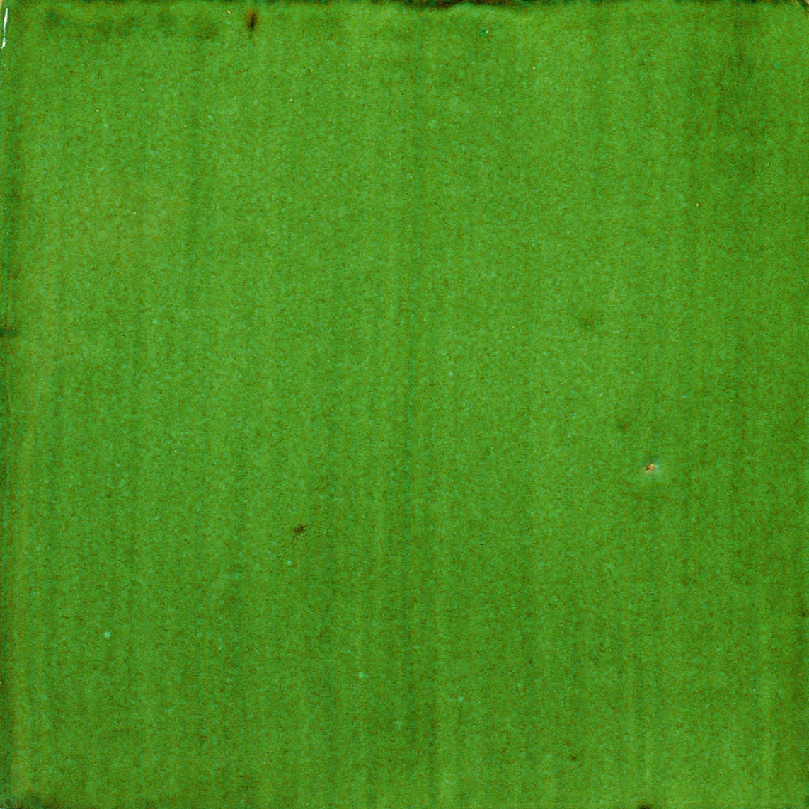 LR CV Verde salvia scuro