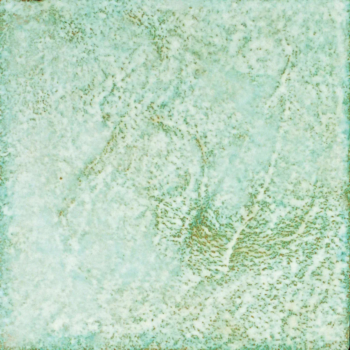 La Riggiola - LR CV reverse REV