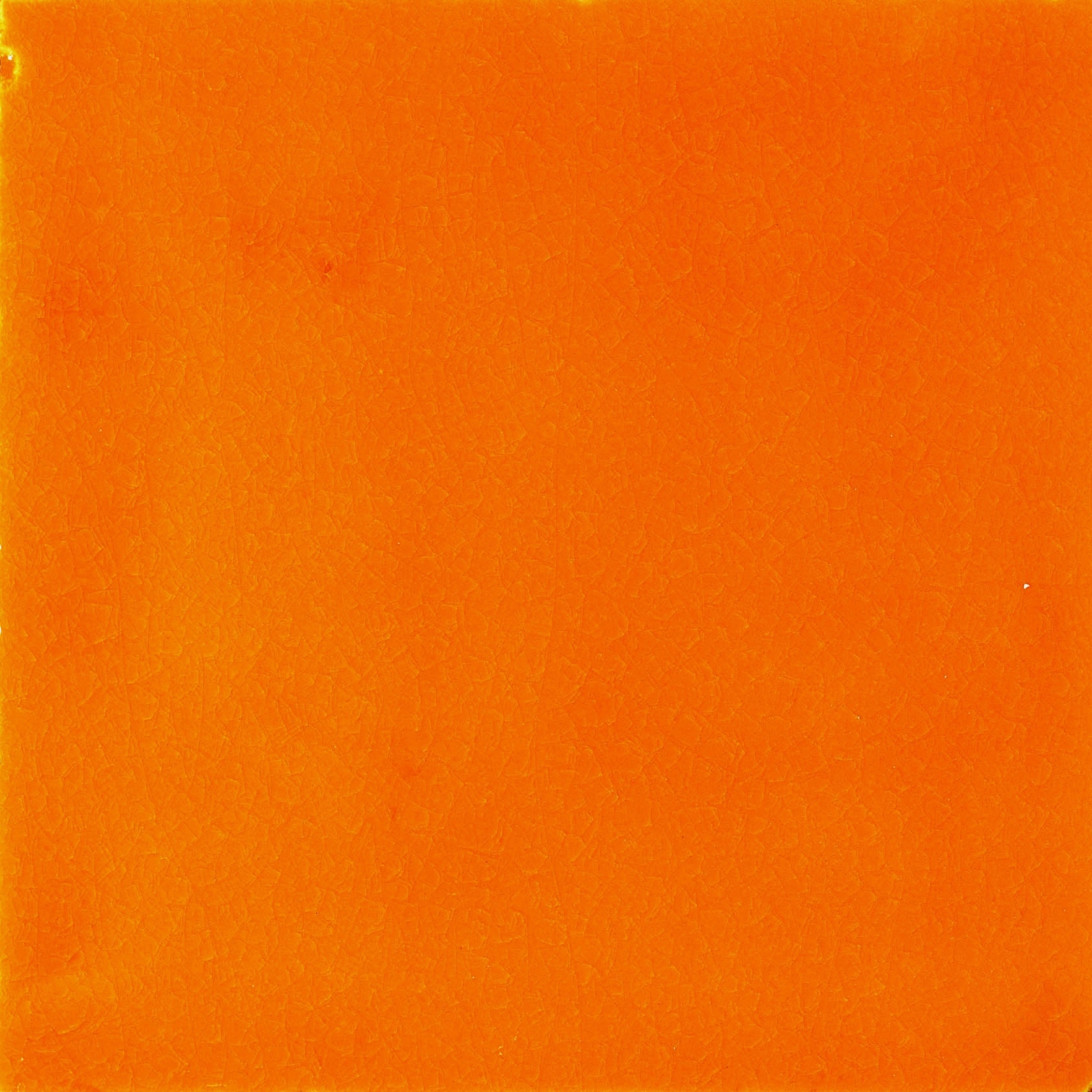 LR CV Giallo scuro TRAS