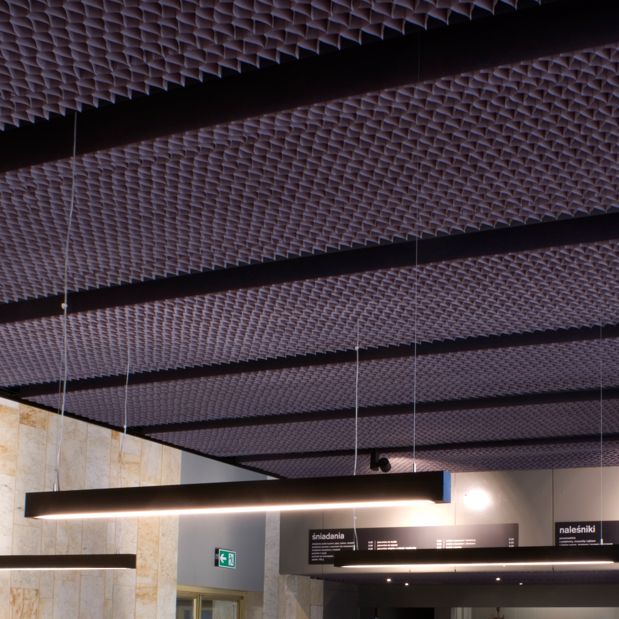Afficher le produit Honeycomb ceiling du fabricant PROCÉDÉS CHÉNEL