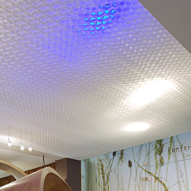 Display product Honeycomb ceiling from manufacturer PROCÉDÉS CHÉNEL