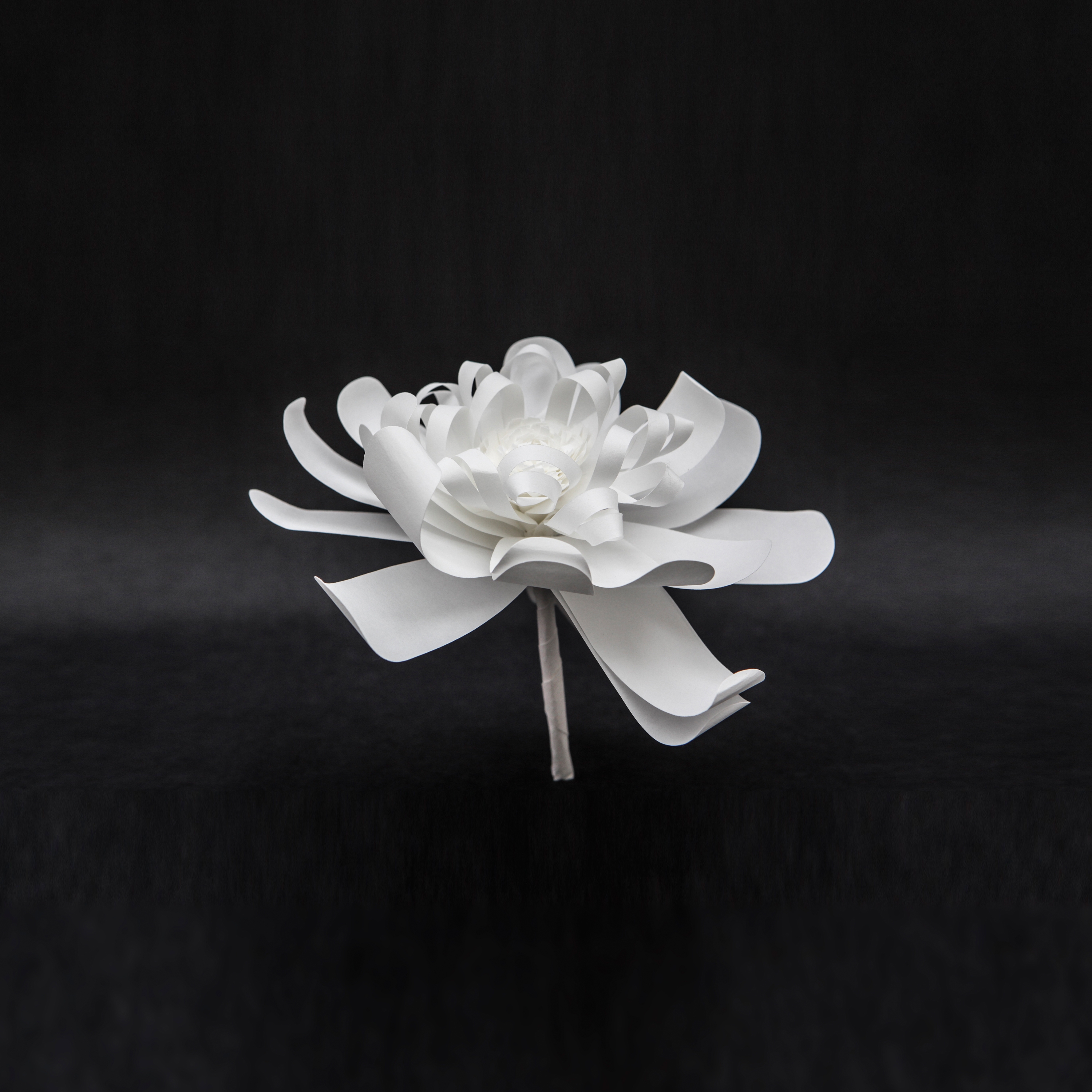 Afficher le produit Fleurs du fabricant PROCÉDÉS CHÉNEL