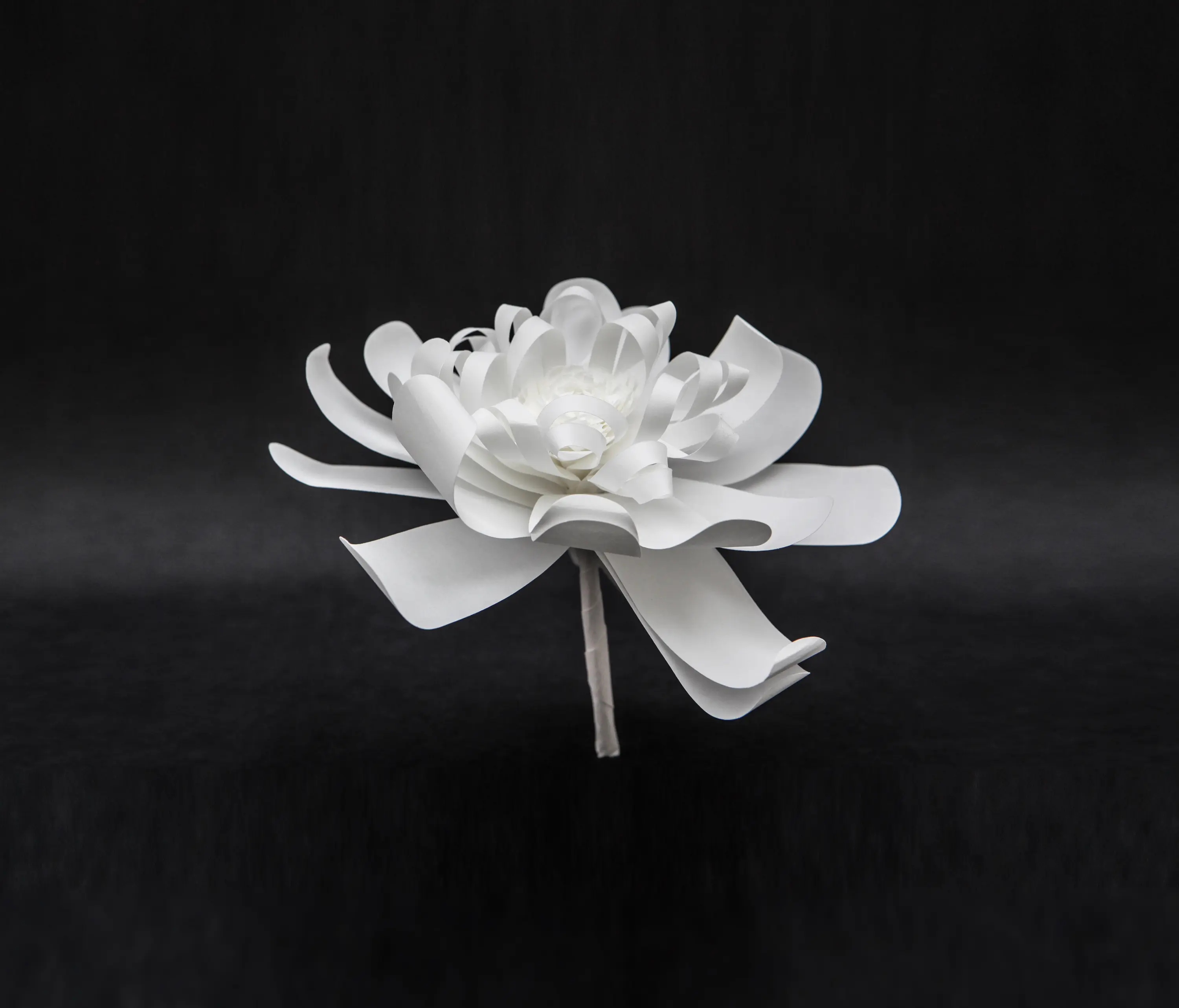 PROCÉDÉS CHÉNEL - Fleurs