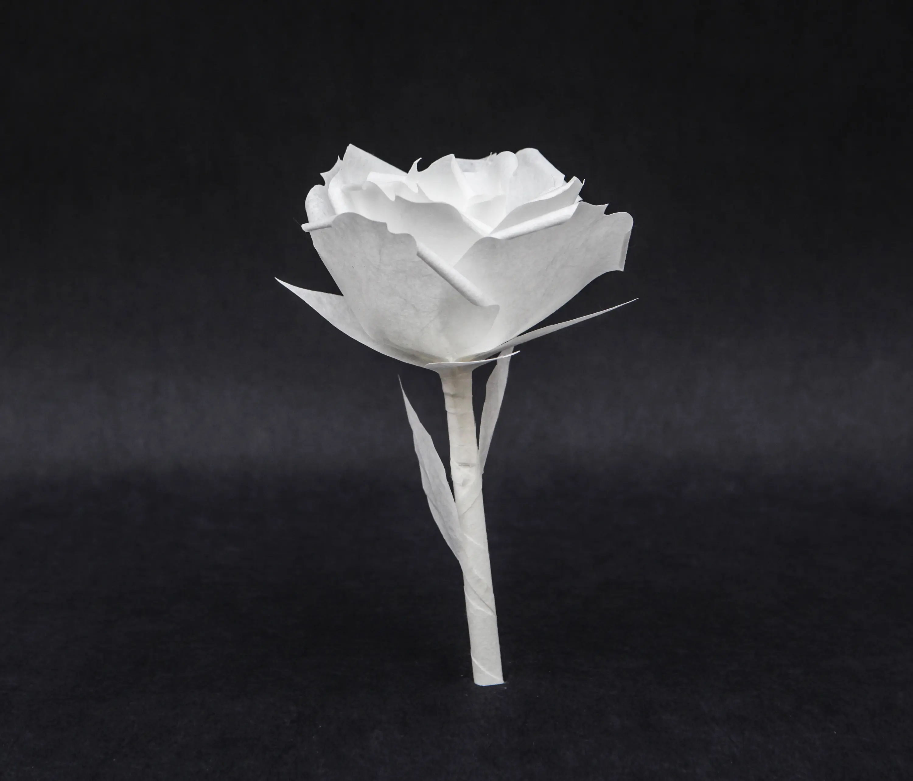 PROCÉDÉS CHÉNEL - Fleurs
