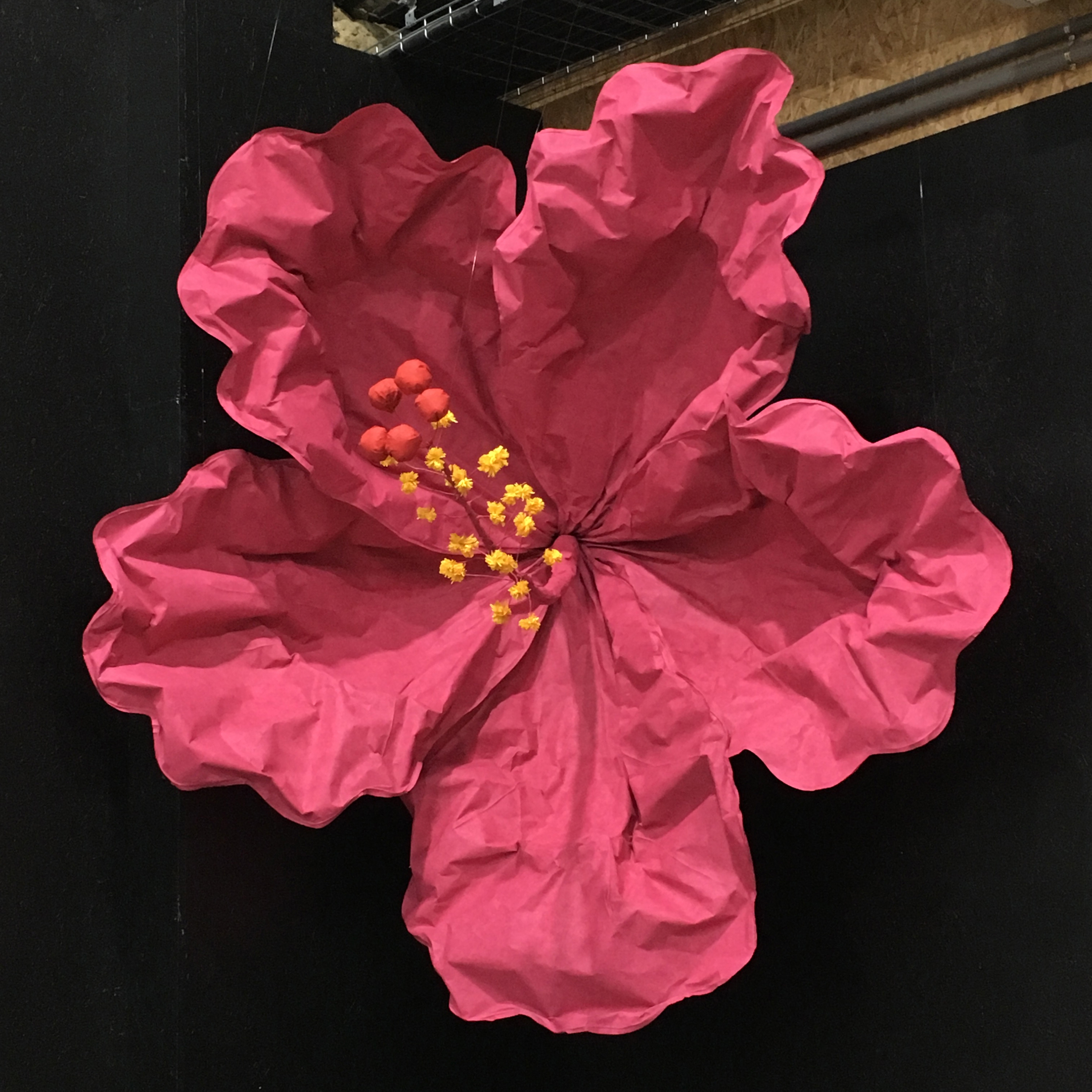 Afficher le produit Fleurs Hibiscus du fabricant PROCÉDÉS CHÉNEL