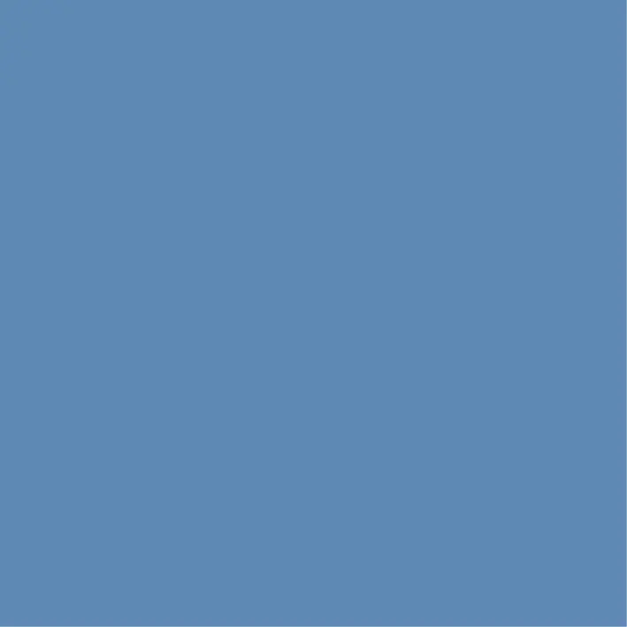 Project Floors - unique design | Blue Berry