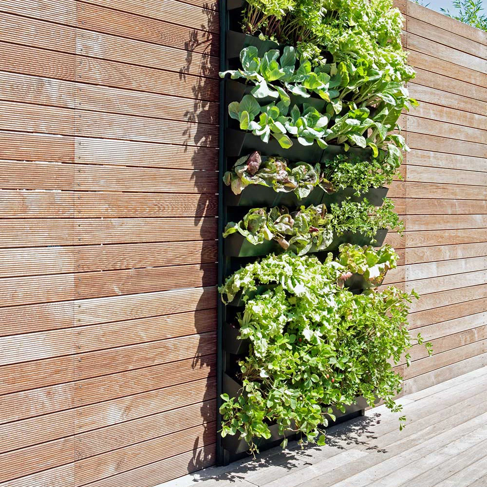 VERTICAL GARDENS