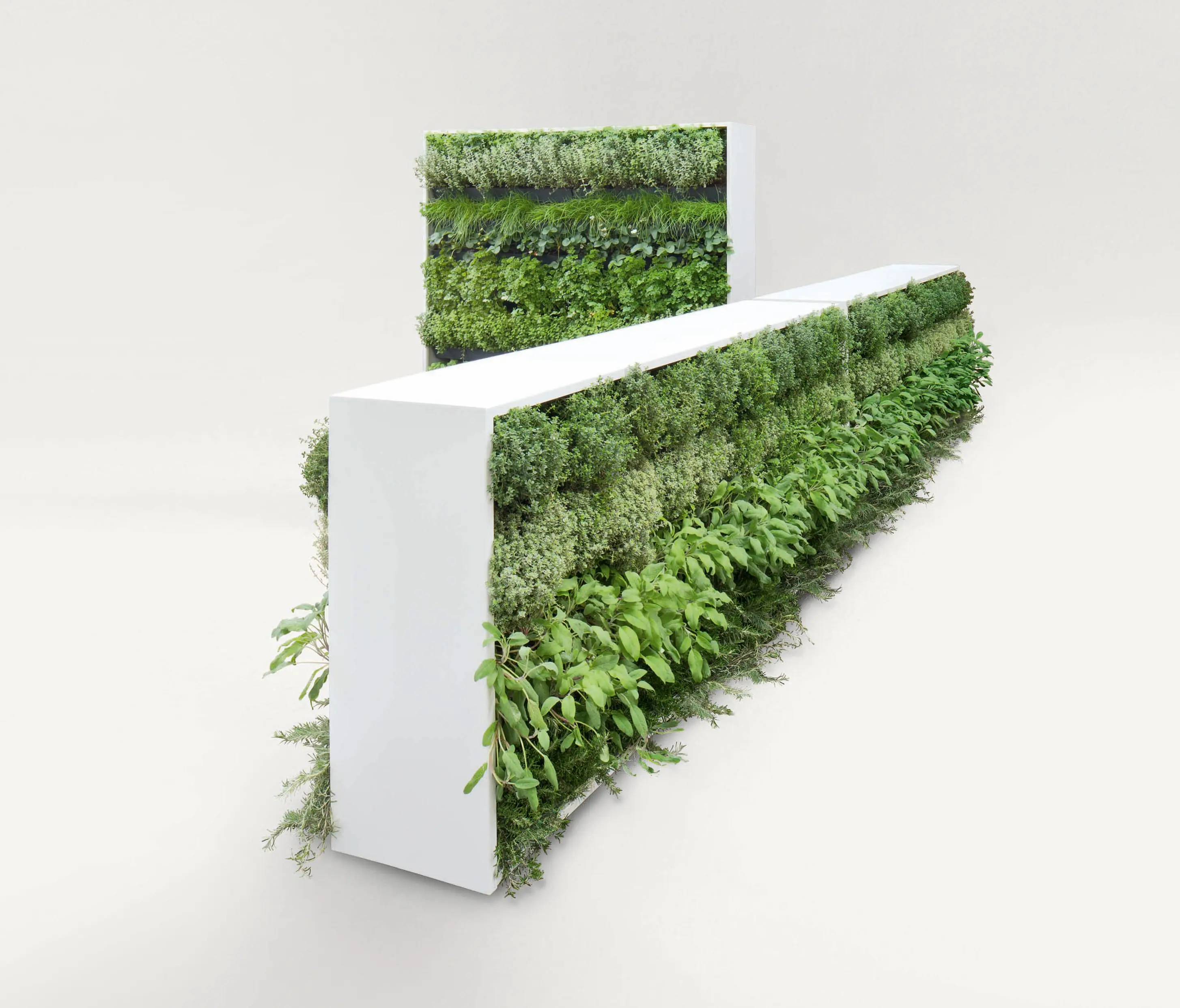 Verde Profilo - Vertical Gardens | VP-Modulo