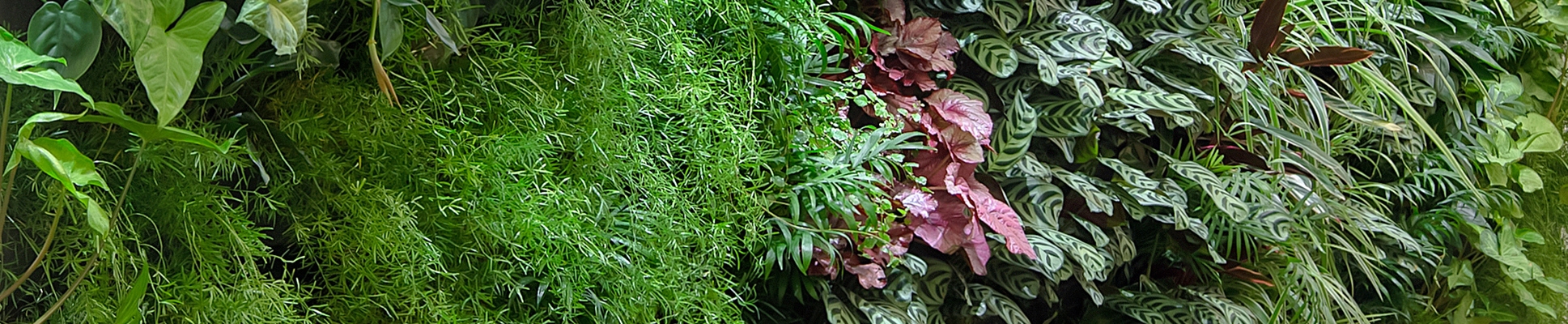 Discover the world of manufacturer Verde Profilo