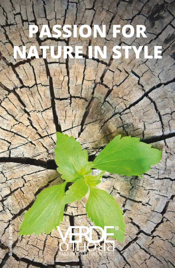 Imagen de vista previa del archivo Magazine 2019