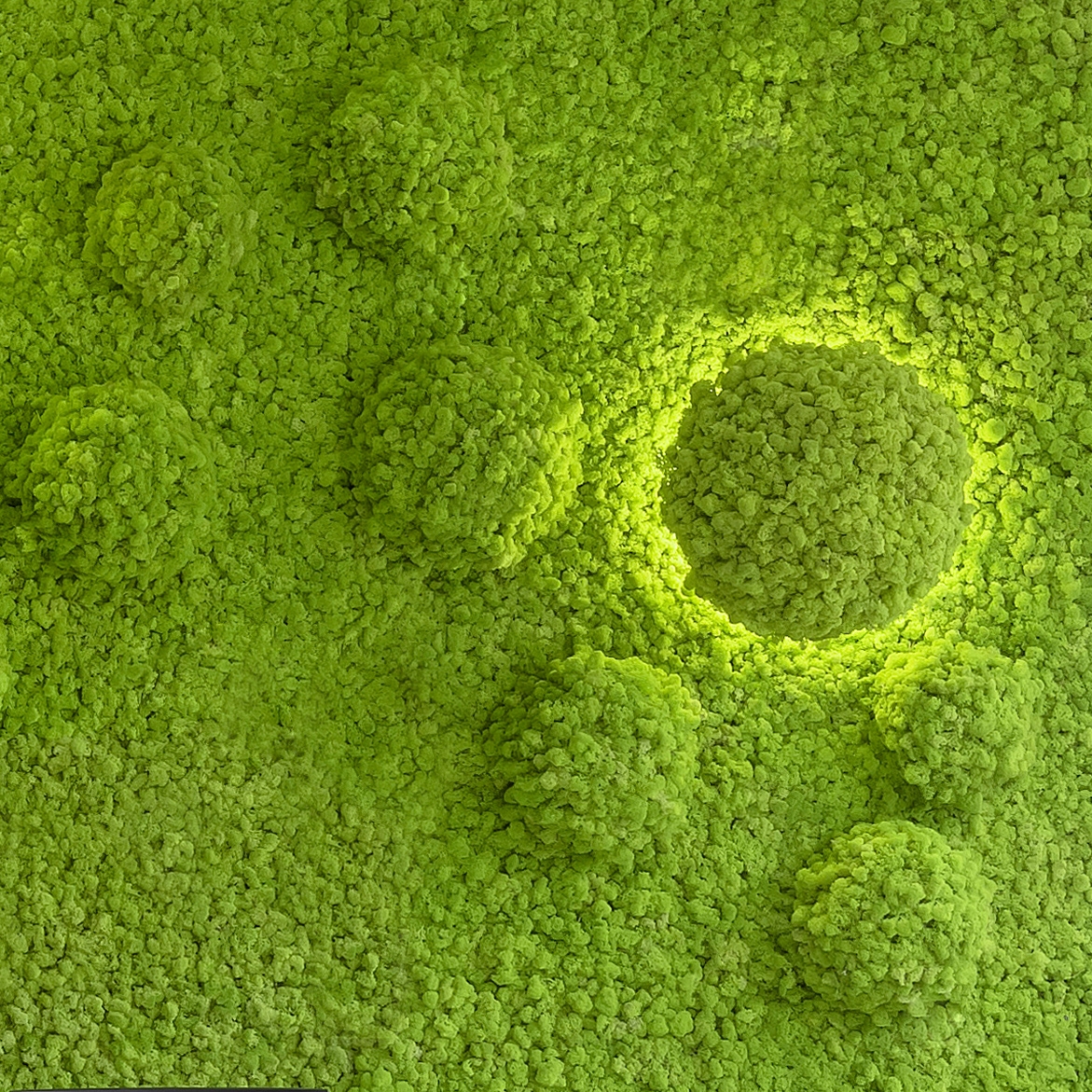 Display product MOSSwall® Round from manufacturer Verde Profilo
