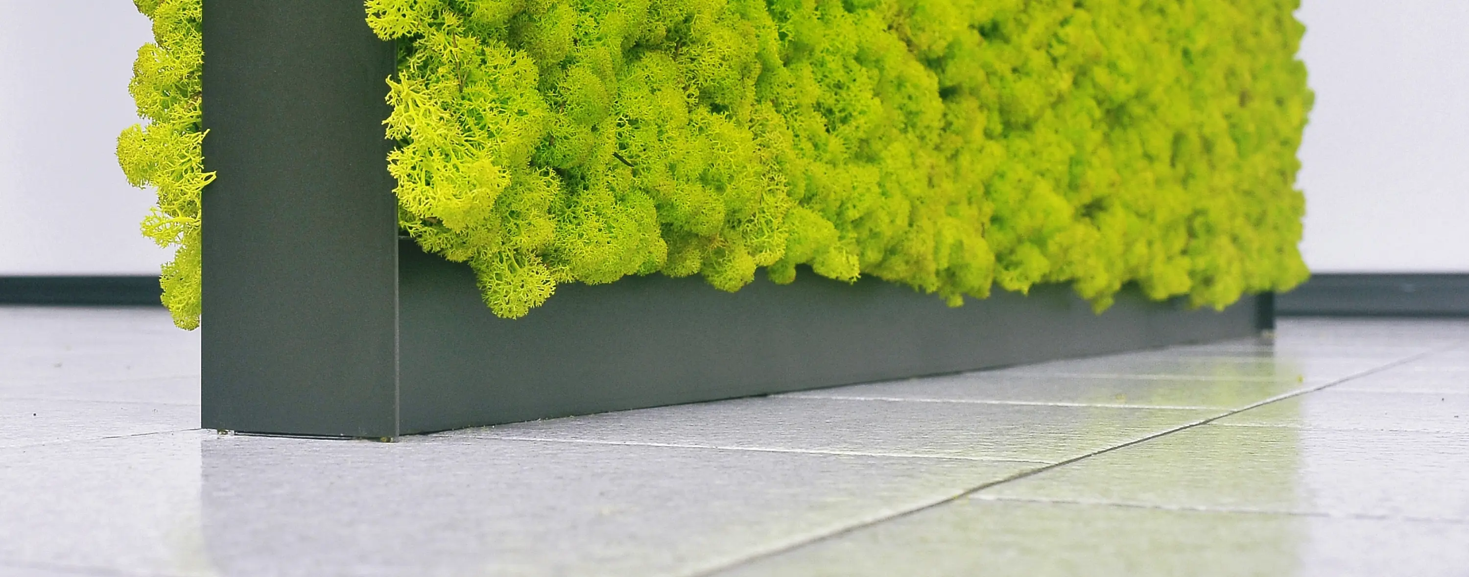 Verde Profilo - MOSSwall® Room Divider structure
