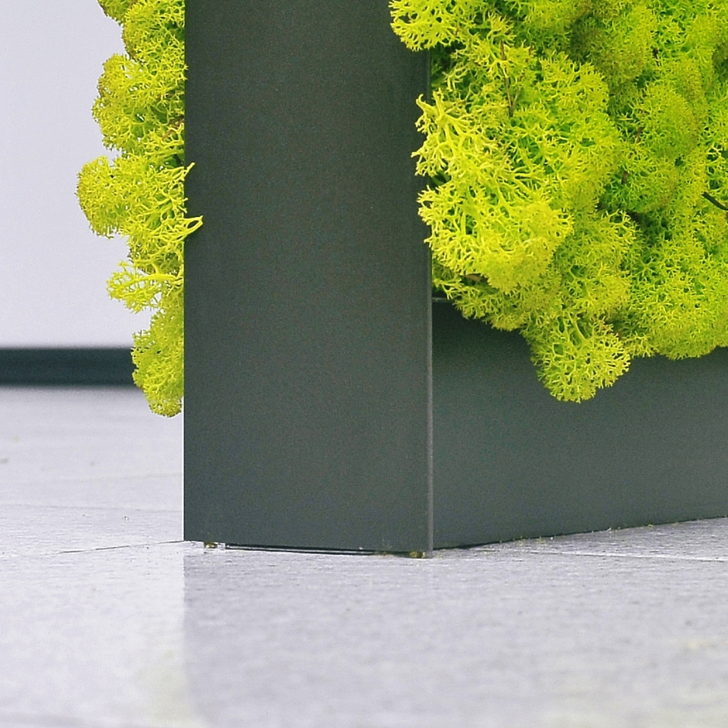 Display product MOSSwall® Room Divider structure from manufacturer Verde Profilo