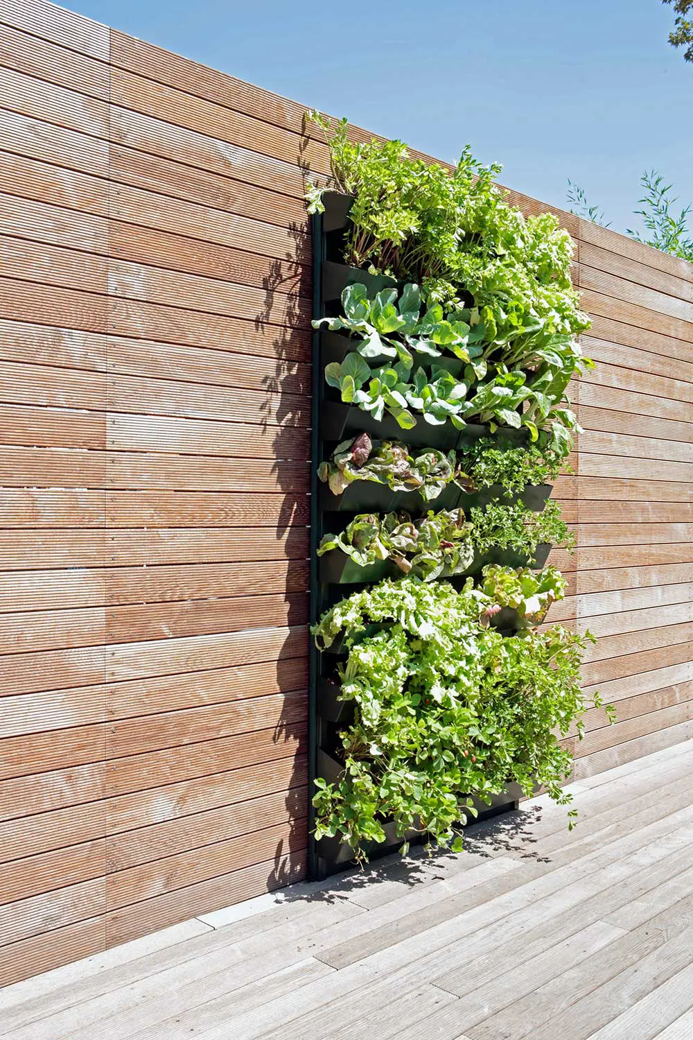 Verde Profilo - Vertical Gardens | Vertical Hortus