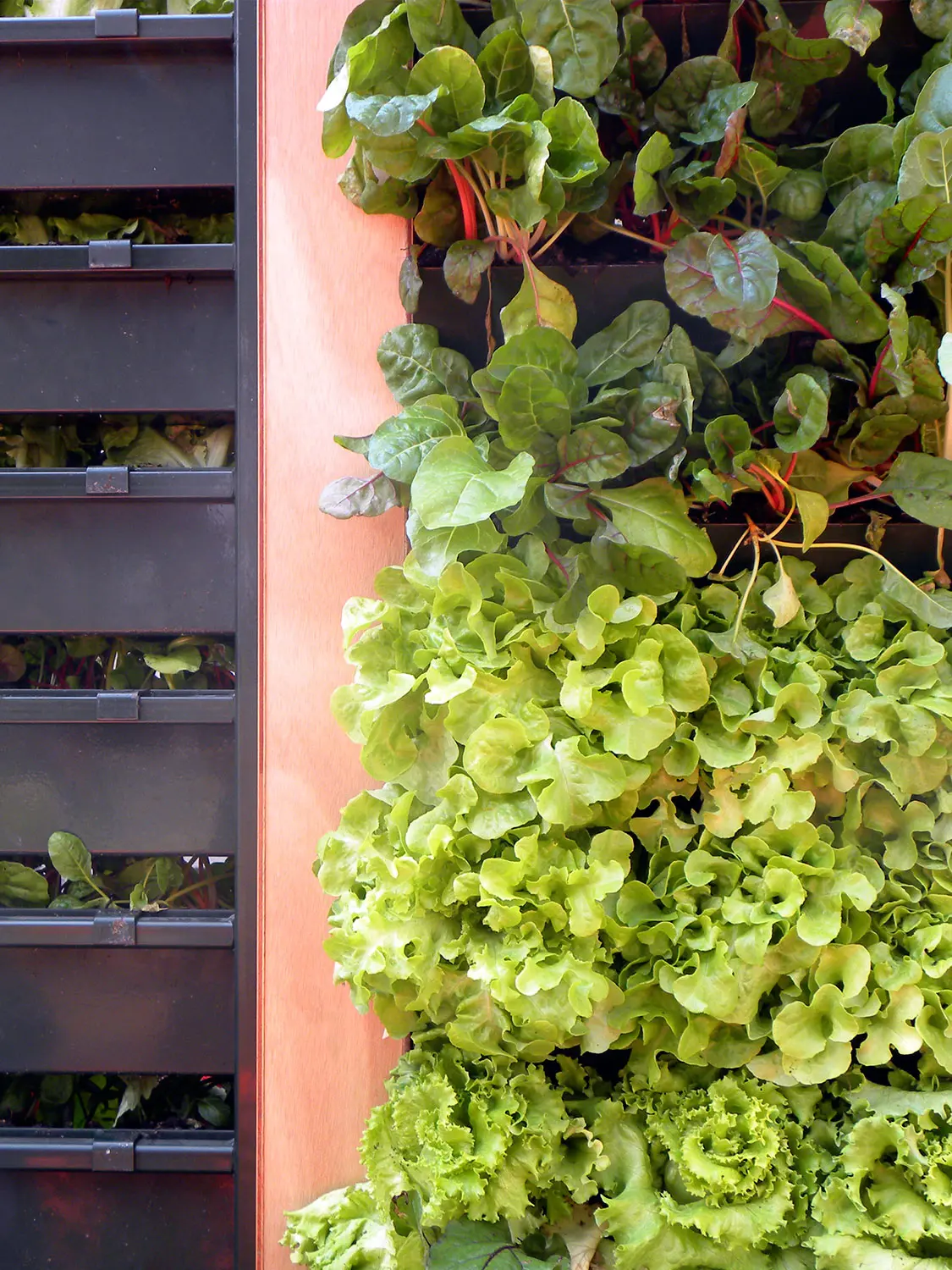 Verde Profilo - Vertical Gardens | Vertical Hortus