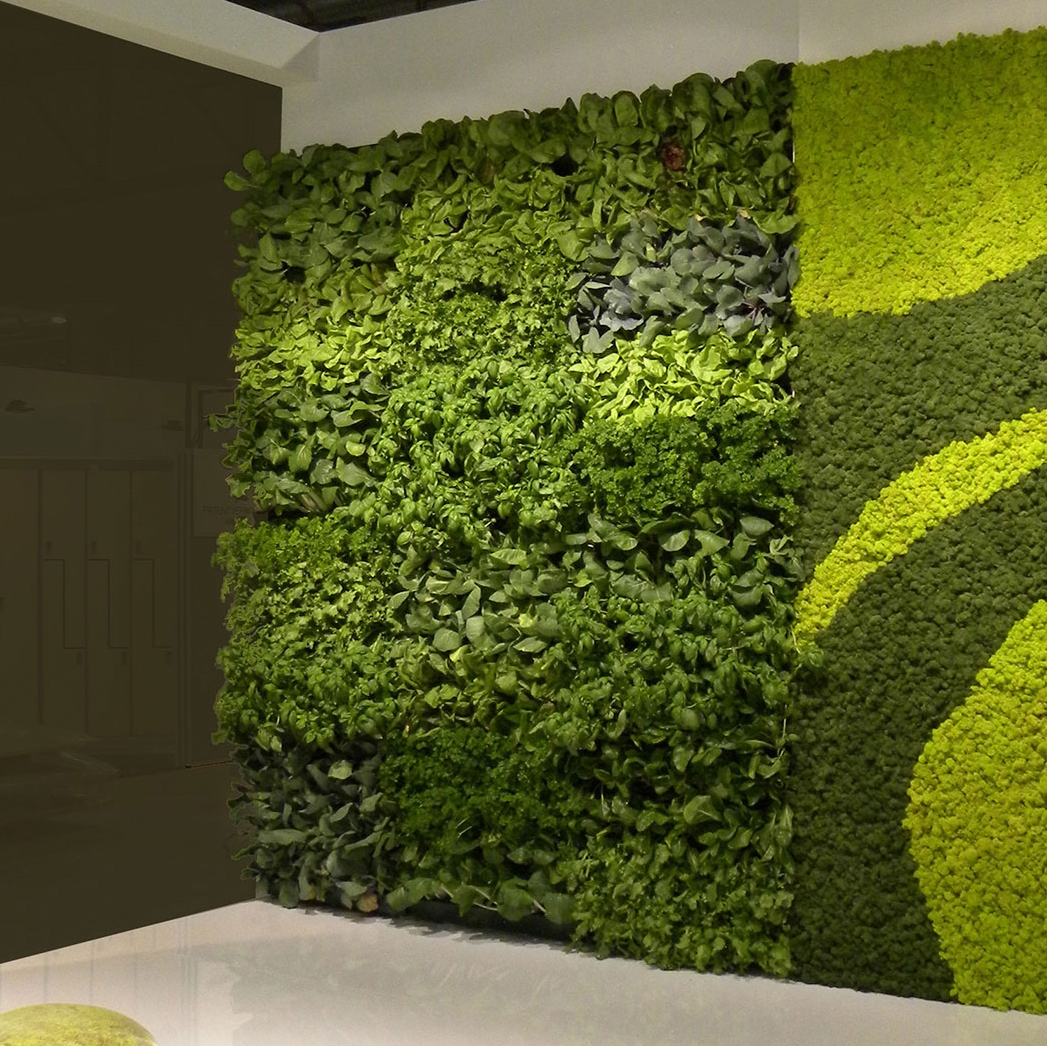 Display product Vertical Gardens | Vertical Hortus from manufacturer Verde Profilo