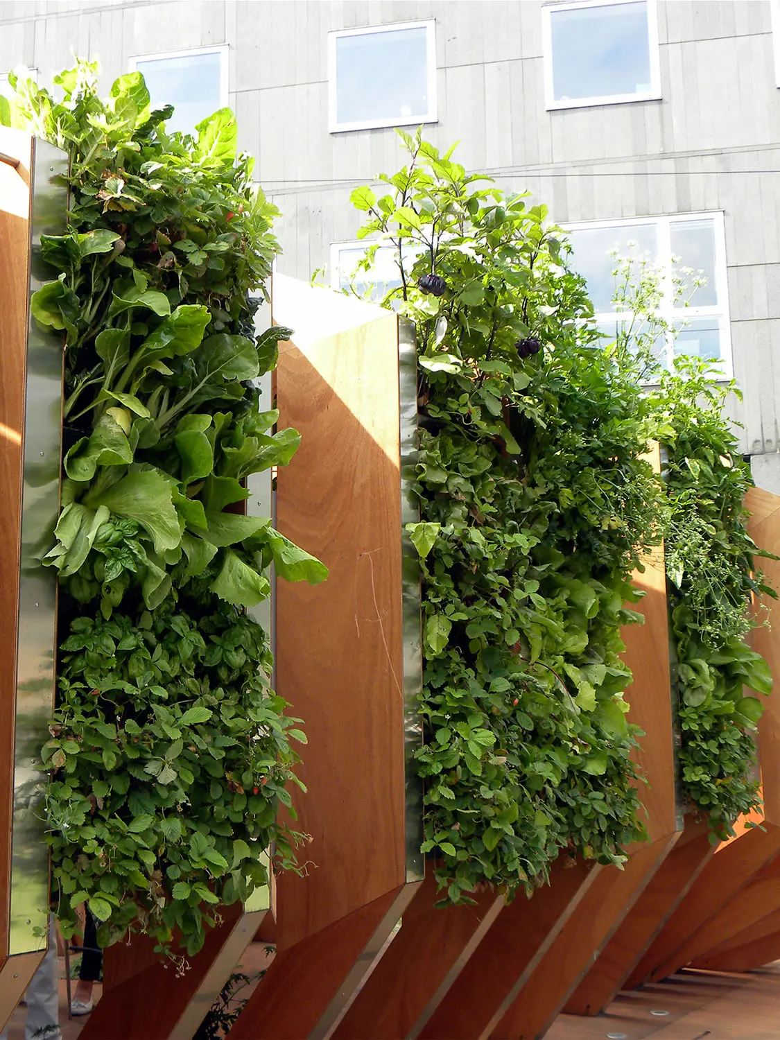 Verde Profilo - Vertical Gardens | Vertical Hortus