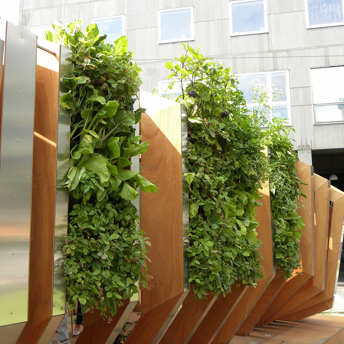 Display product Vertical Gardens | Vertical Hortus from manufacturer Verde Profilo