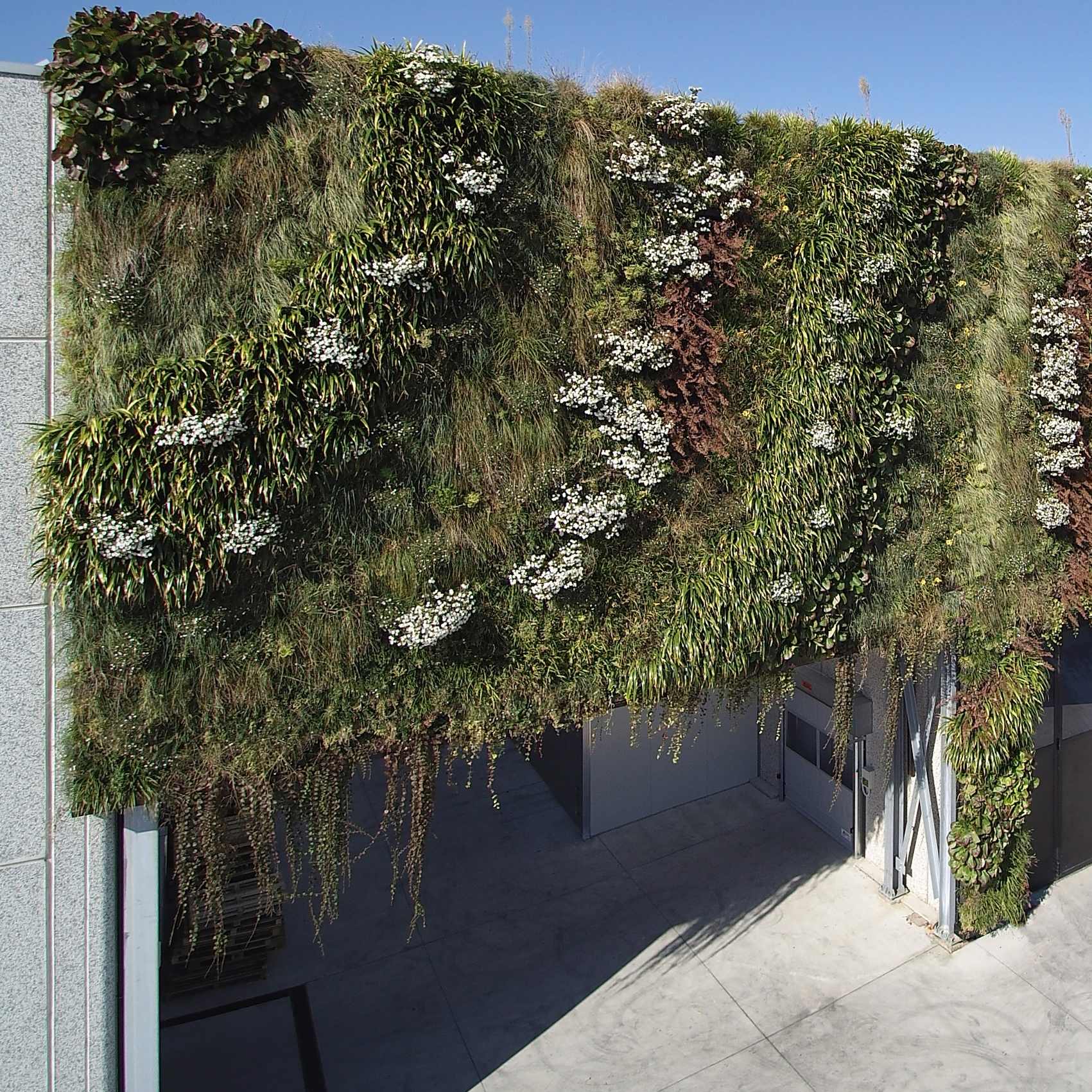 Display product Vertical Gardens | VP-Modulo from manufacturer Verde Profilo