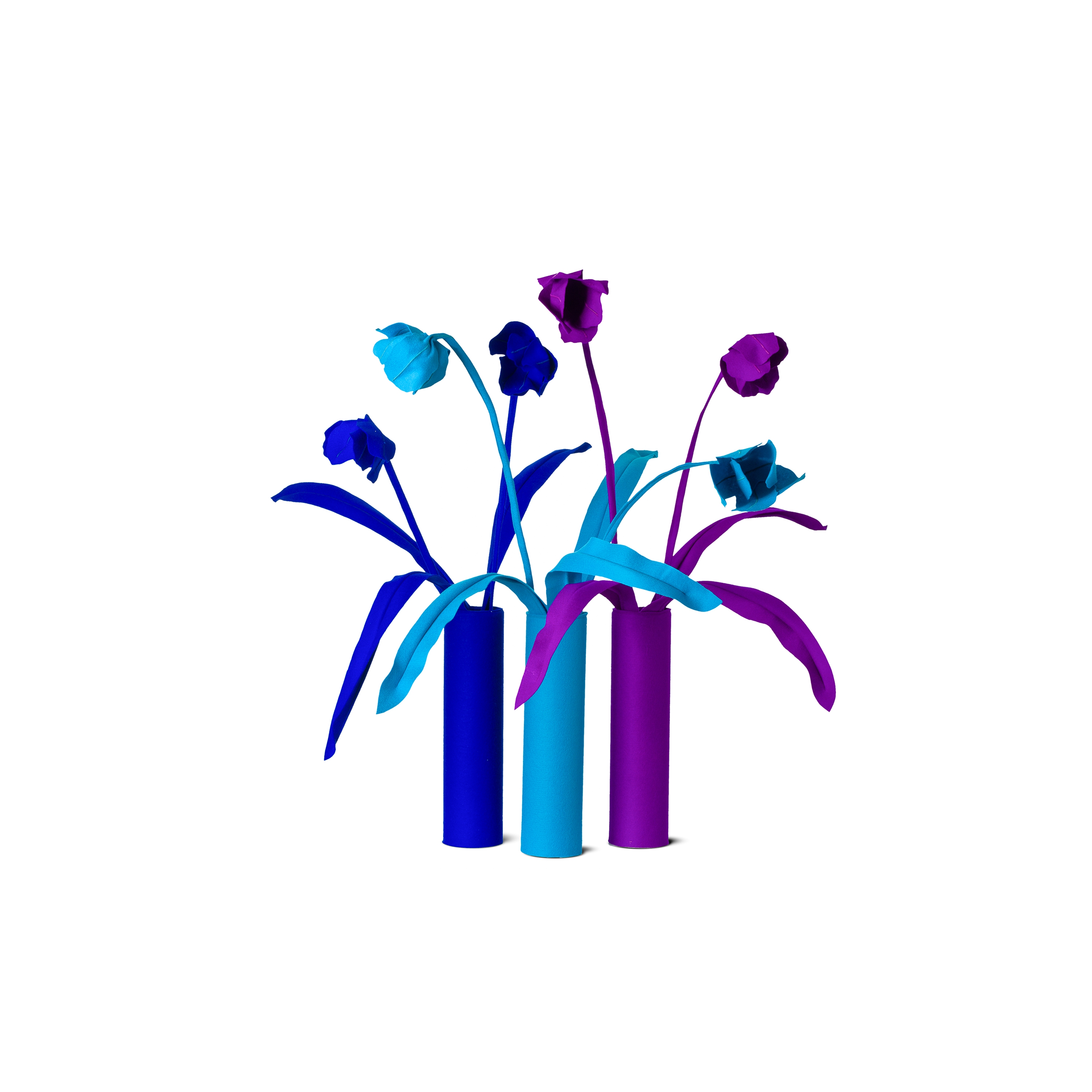Tulip