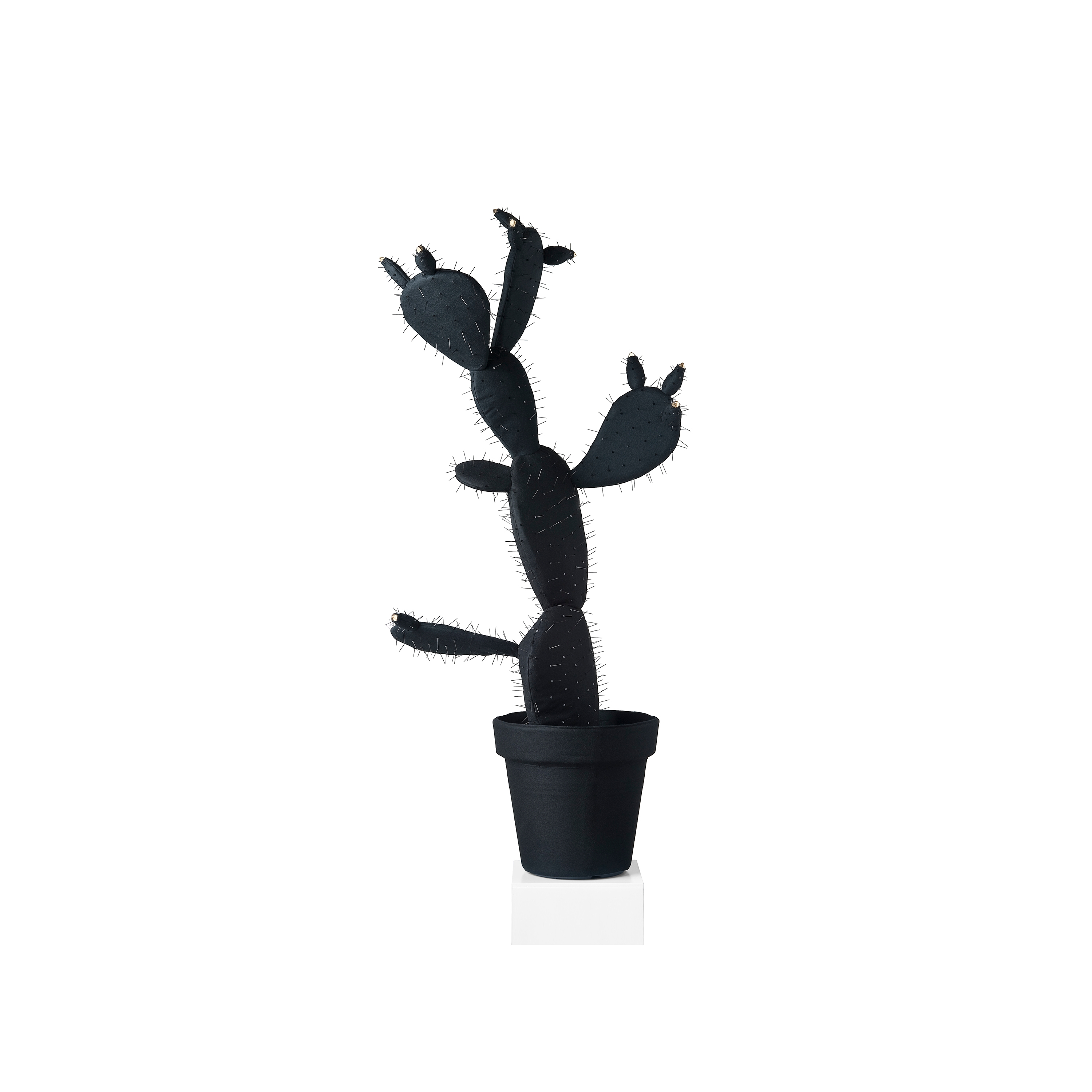 Opuntia Black/White