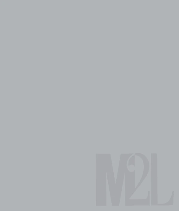 Preview image for the file M2L Brochure