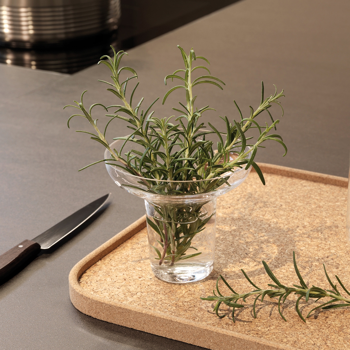 Display product Orea | Kräuterglas from manufacturer Orea