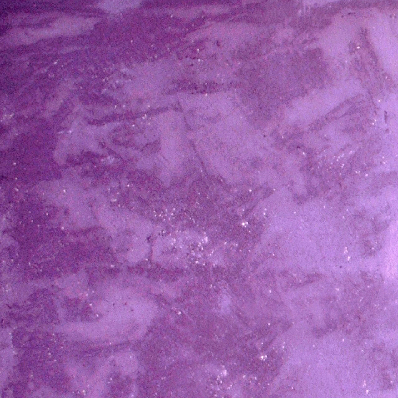 Stucco gesso