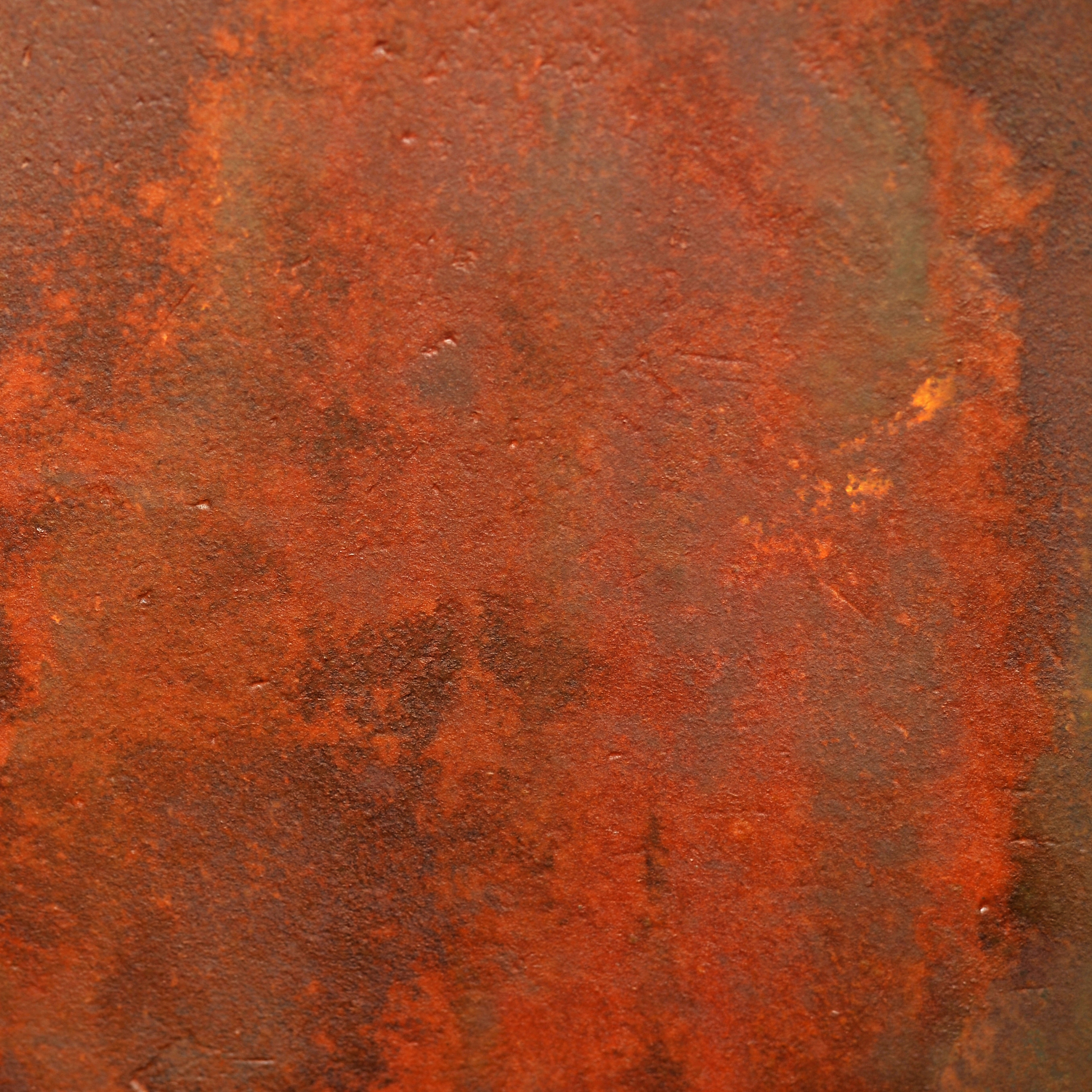 Rost