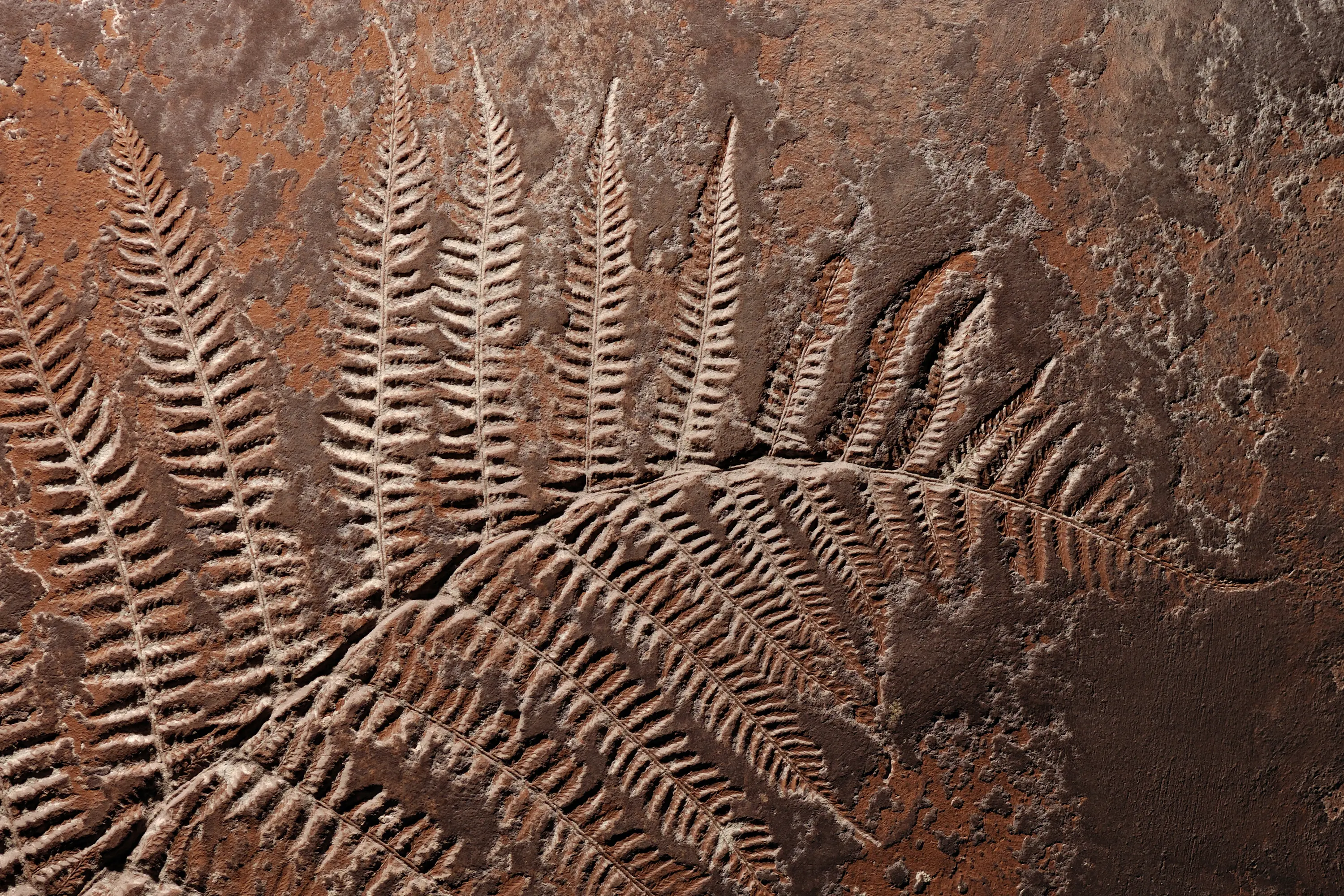 Stucco Pompeji - Embossing technique