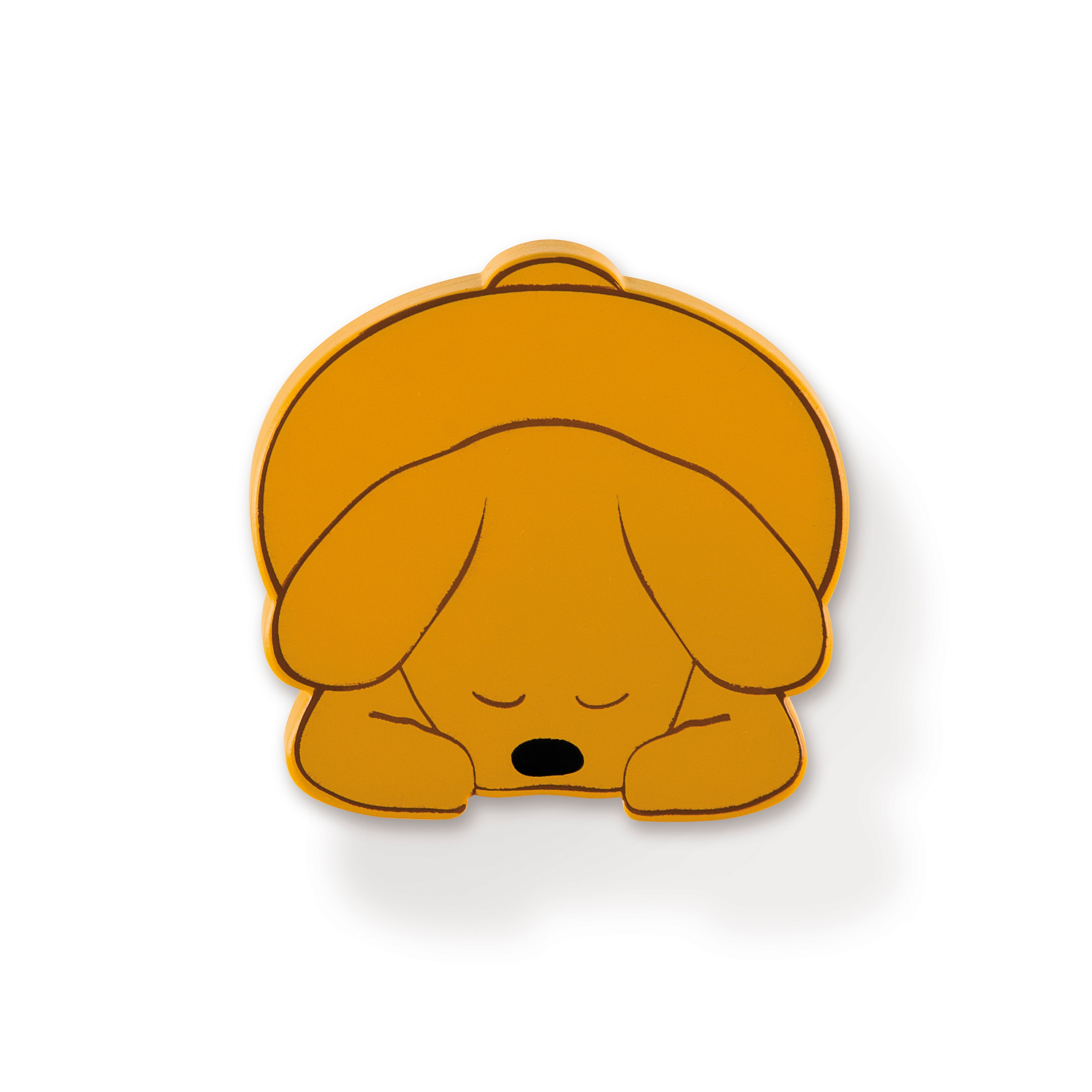 Animal Dreams