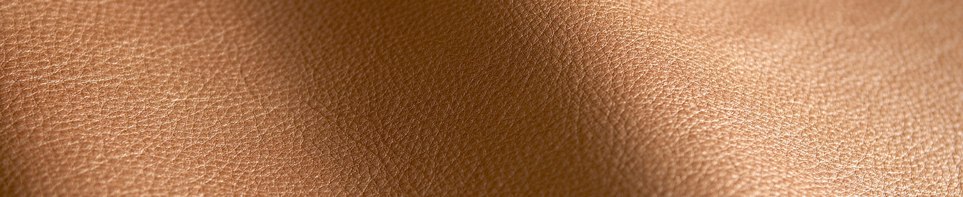 Scopri il mondo del produttore Elmo