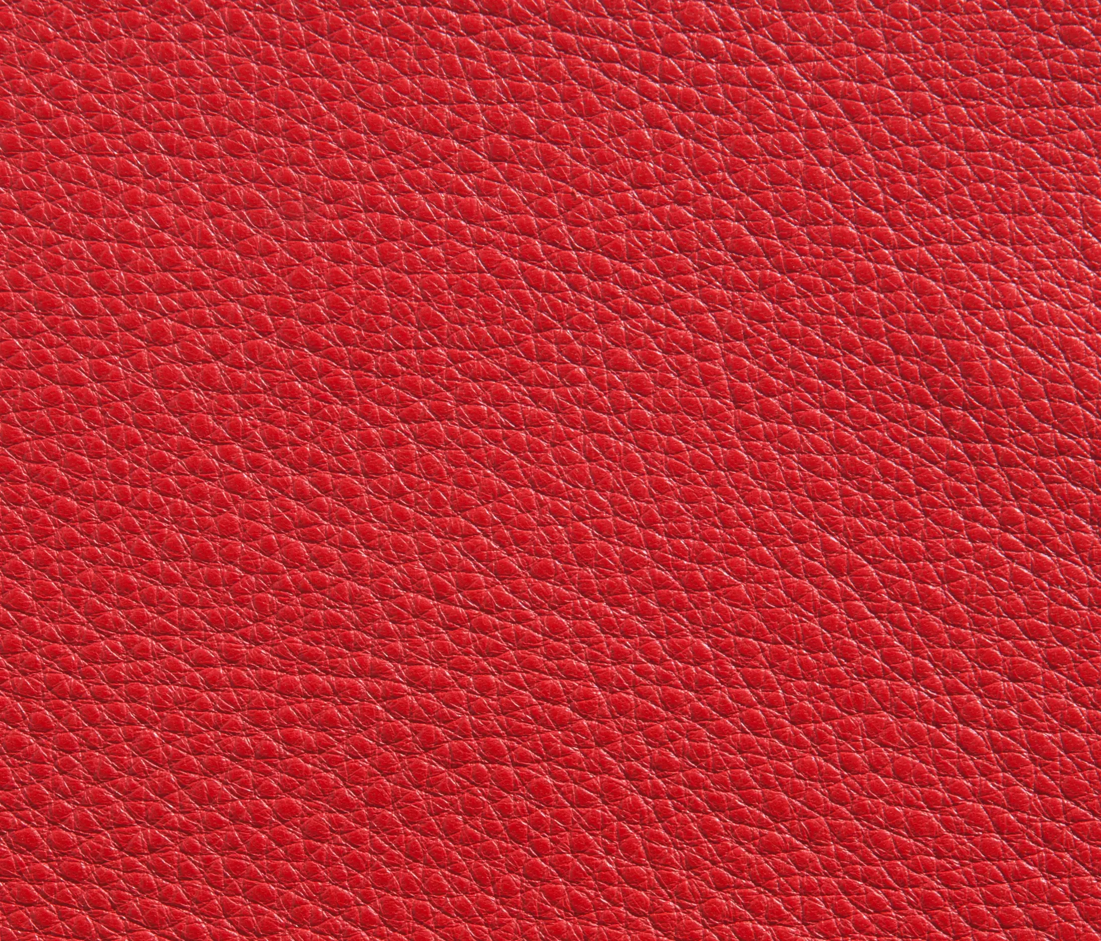 Elmo - Elmorustical 55063