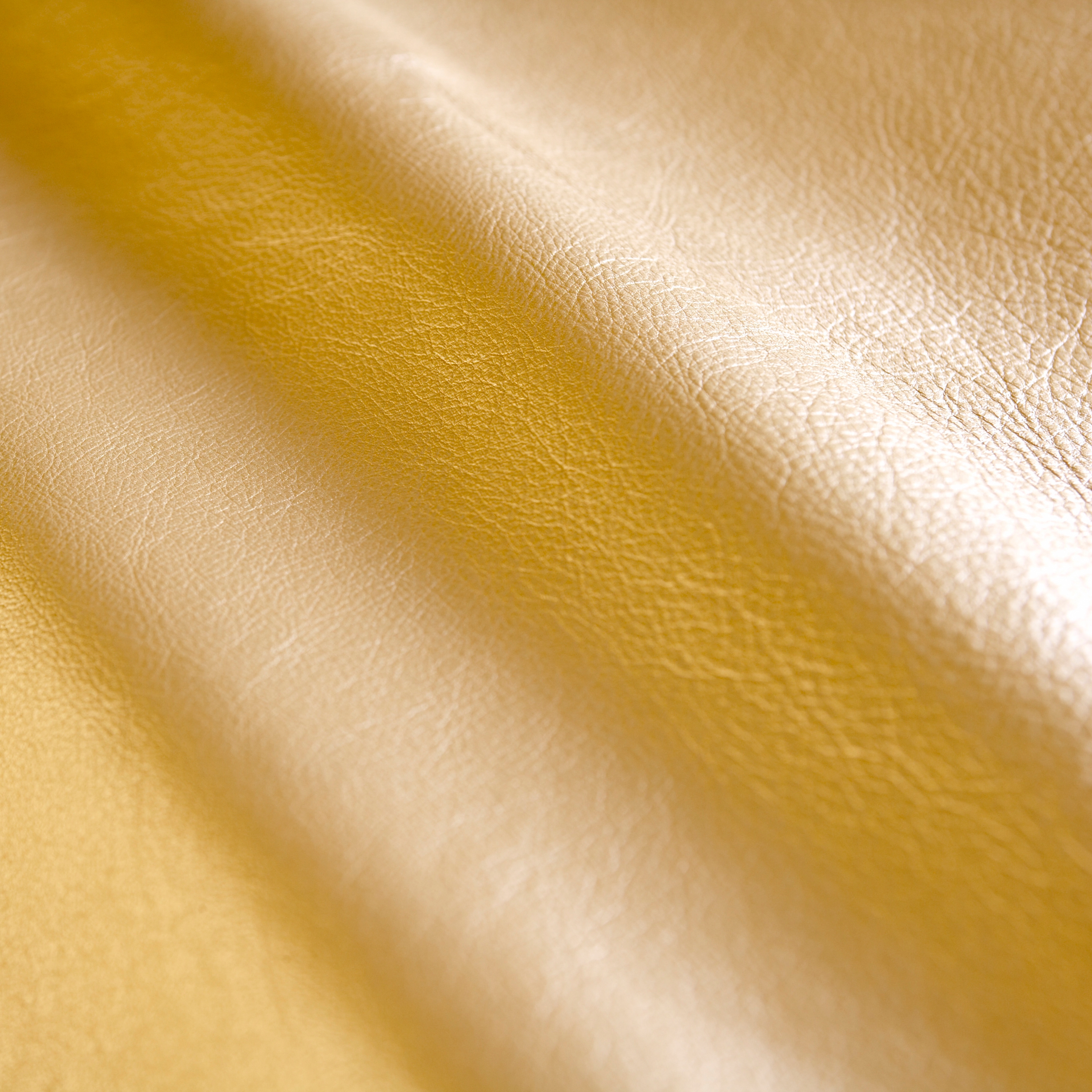ElmoSense-Treasure Guld