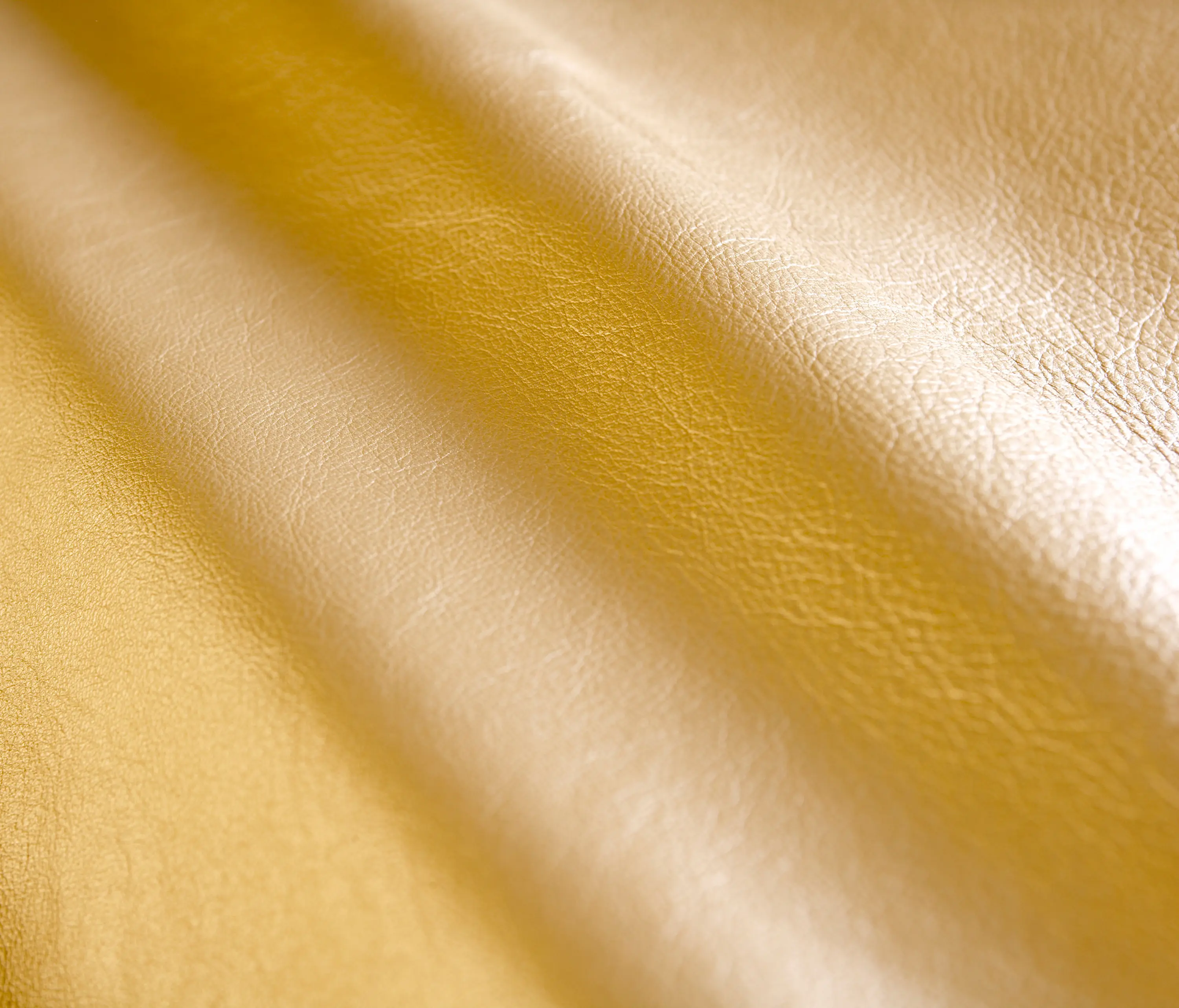 Elmo - ElmoSense-Treasure Guld