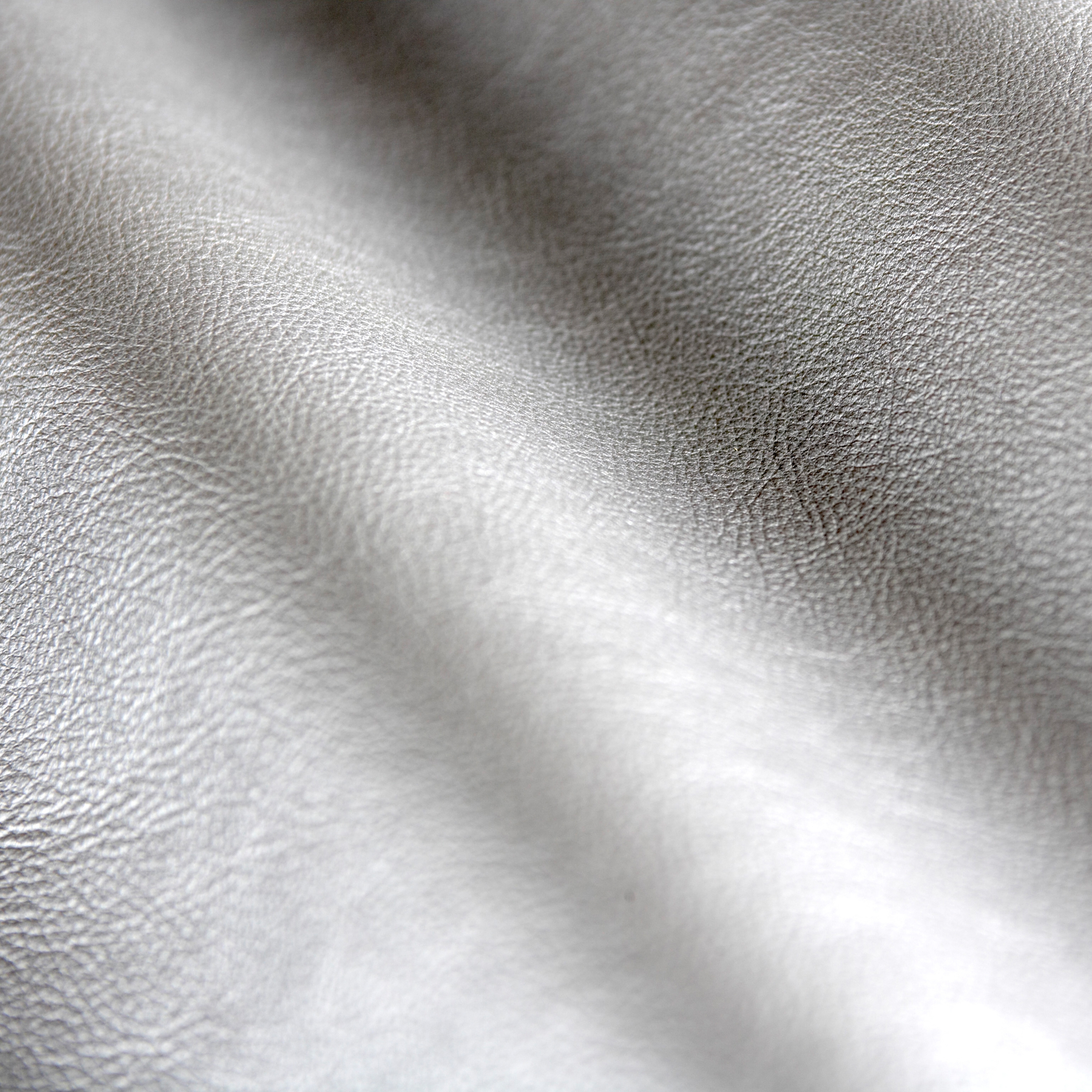 ElmoSense-Treasure Silver