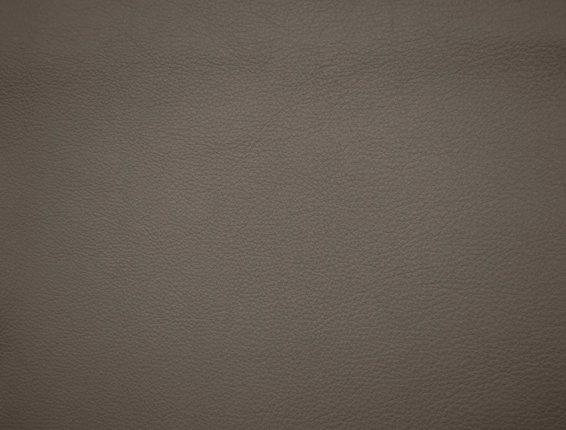 Elmo - Elmosoft 01003