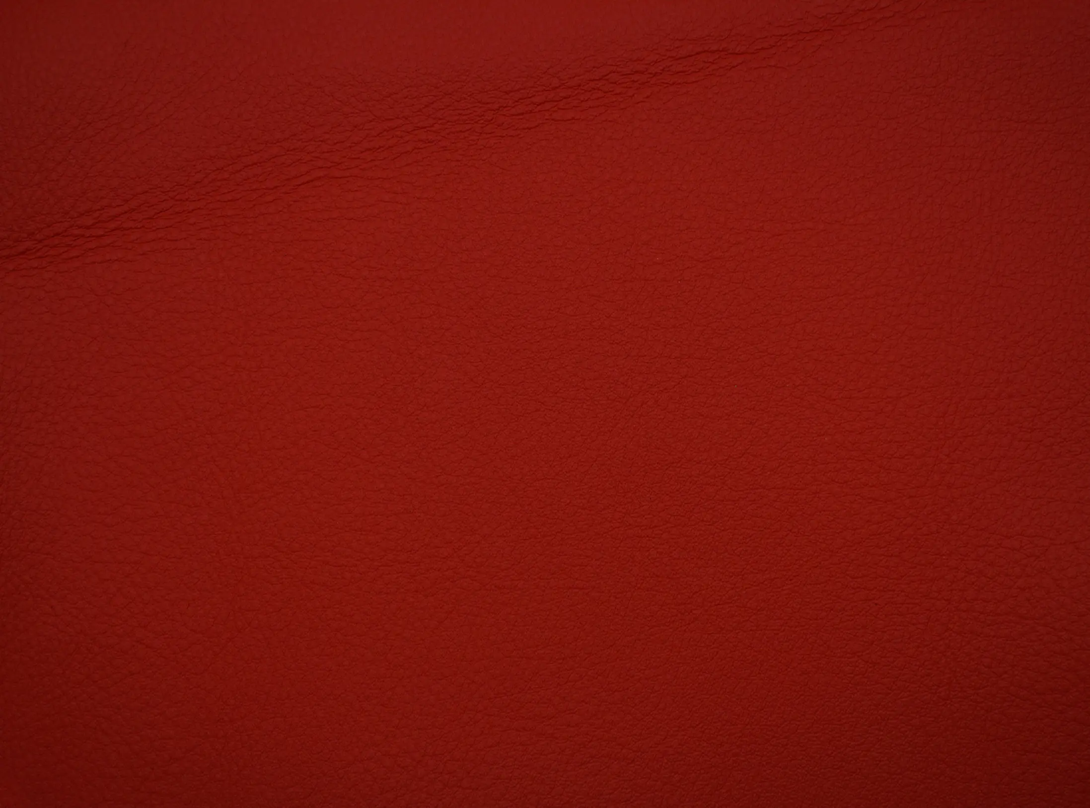 Elmo - Elmosoft 05011