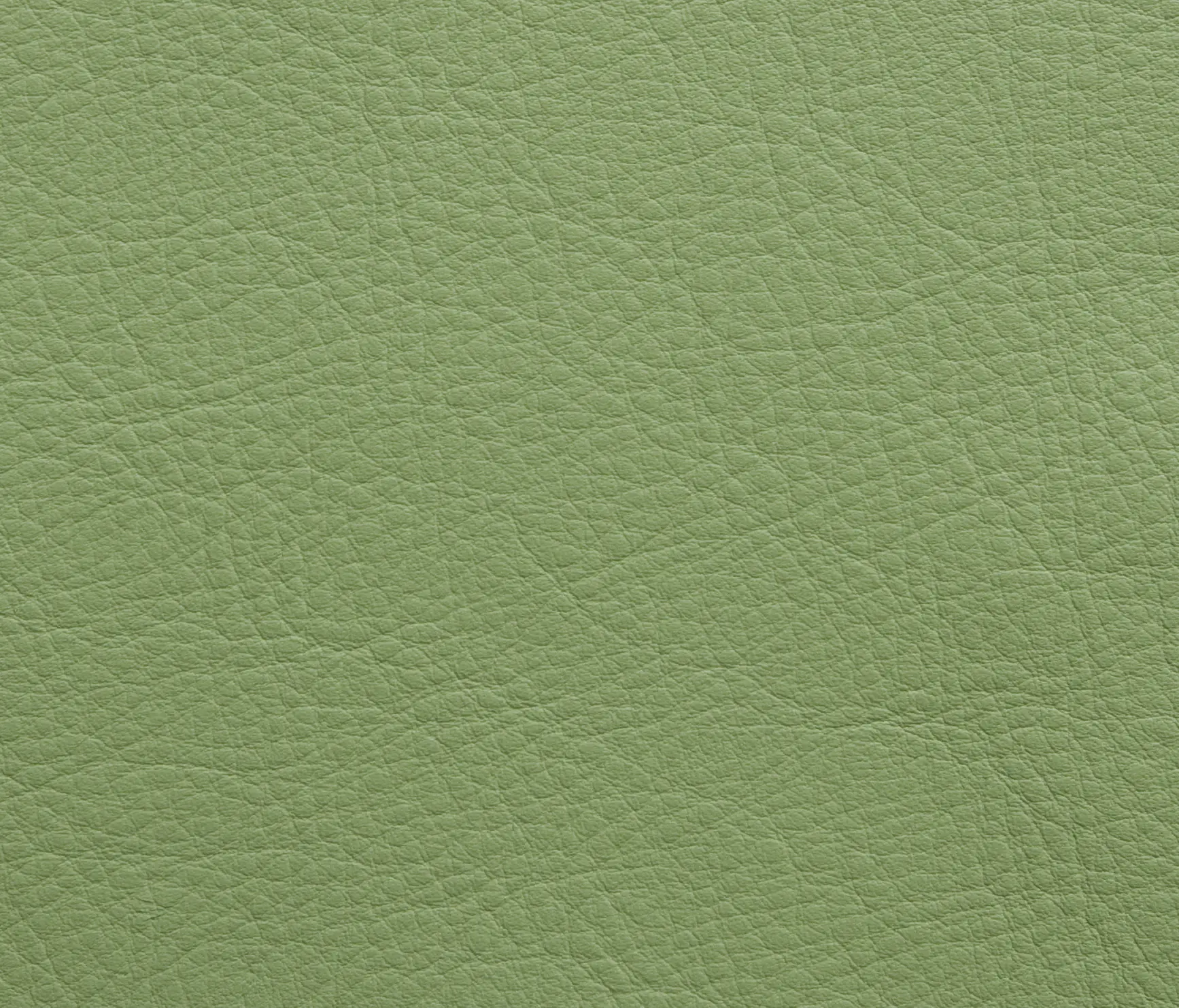 Elmo - Elmosoft 08005