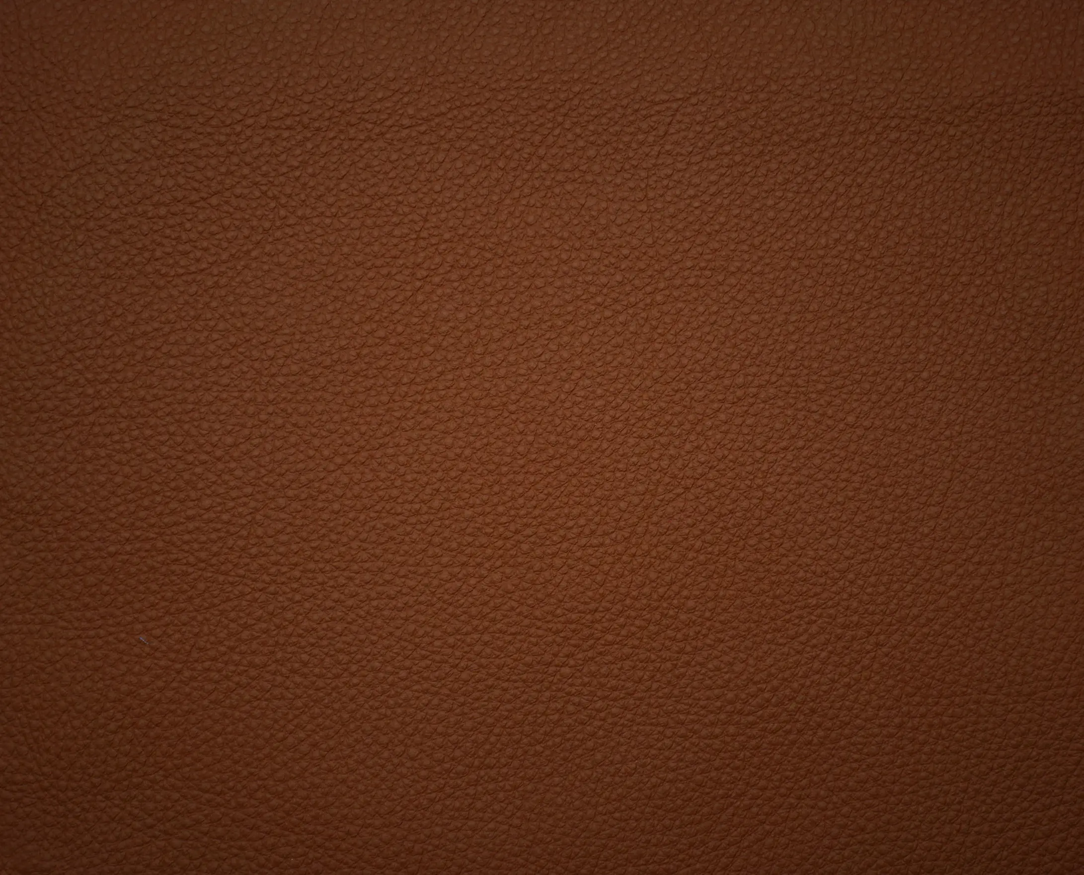 Elmo - Elmosoft 33004
