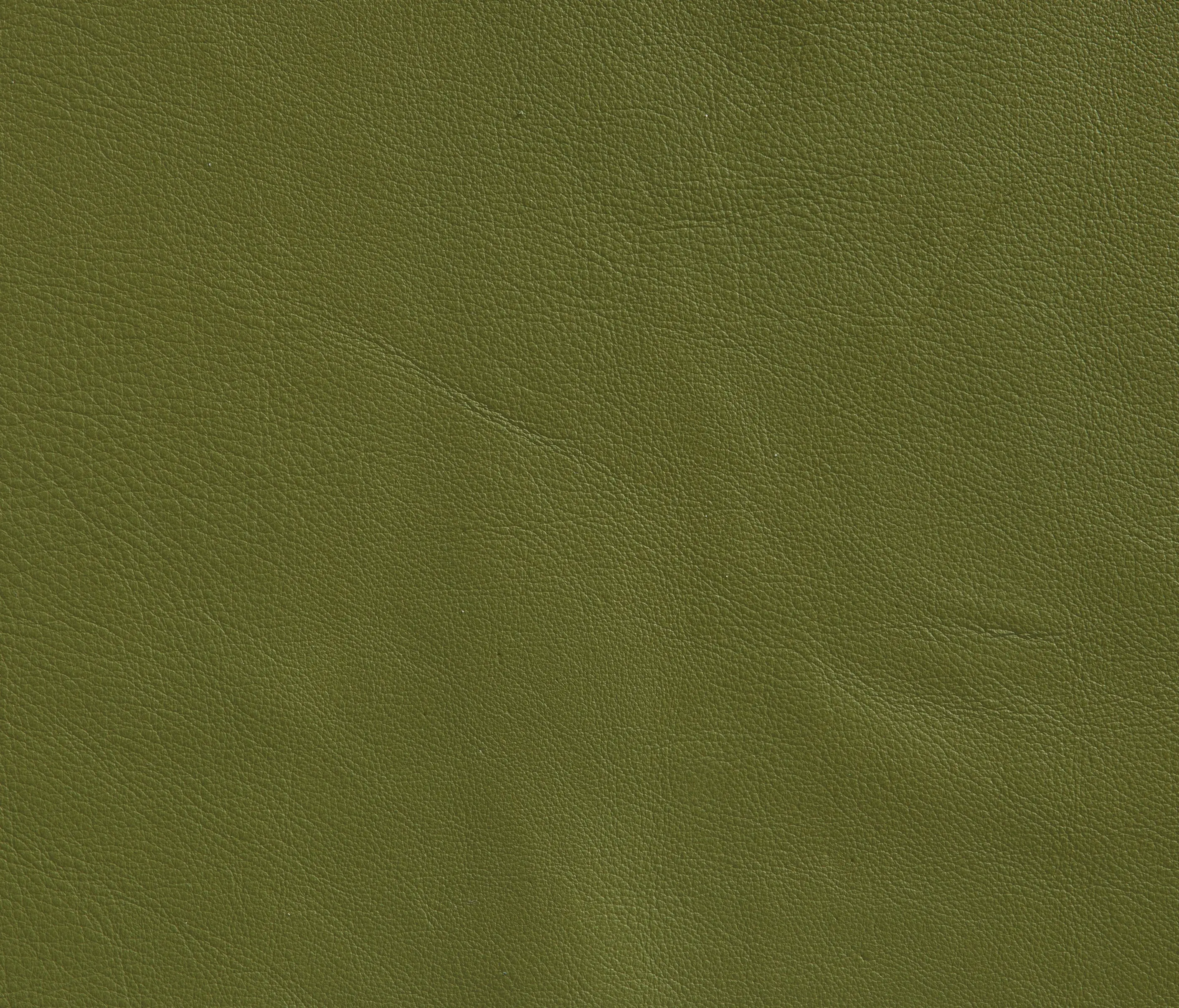 Elmo - Elmosoft 88009