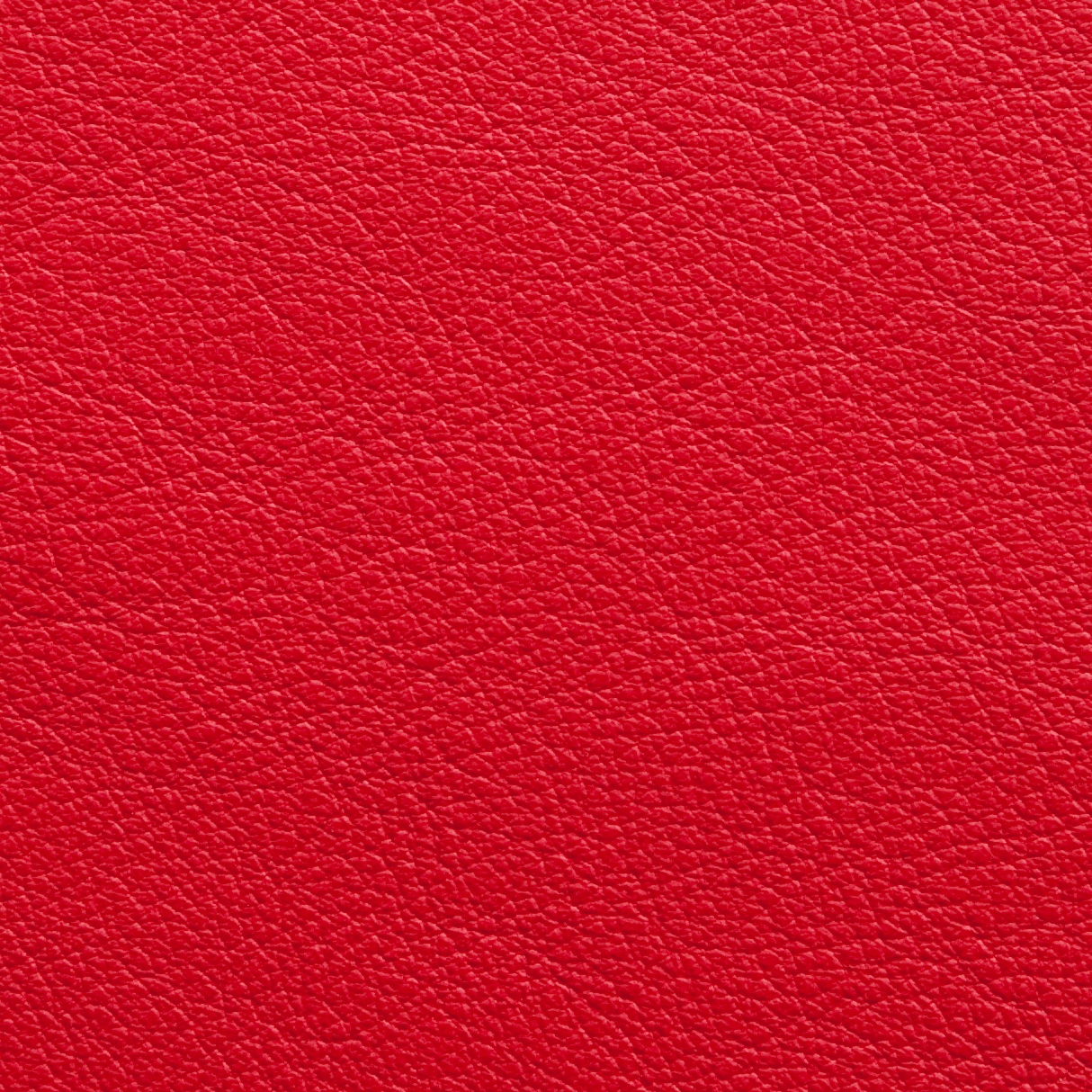 Afficher le produit Elmosoft 05007 du fabricant Elmo