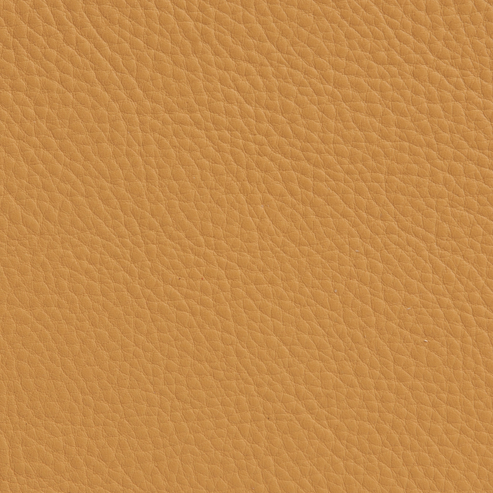 Elmonordic 43044